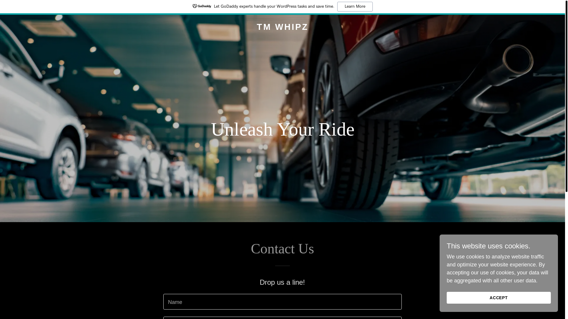 website screenshot of https://tmwhipz.com/
