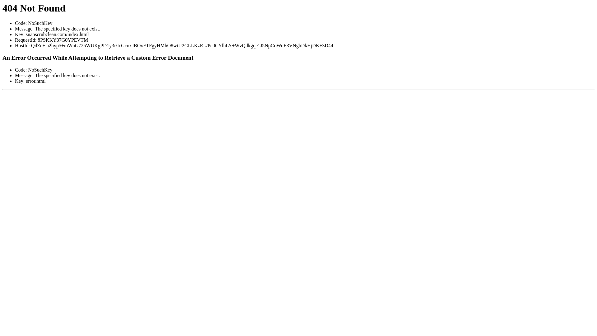 website screenshot of https://snapscrubclean.com/
