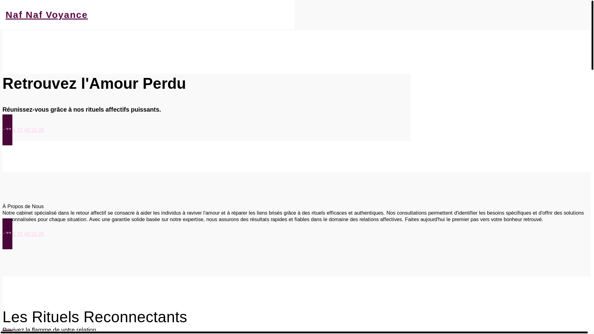 website screenshot of https://nafnafvoyance.fr/