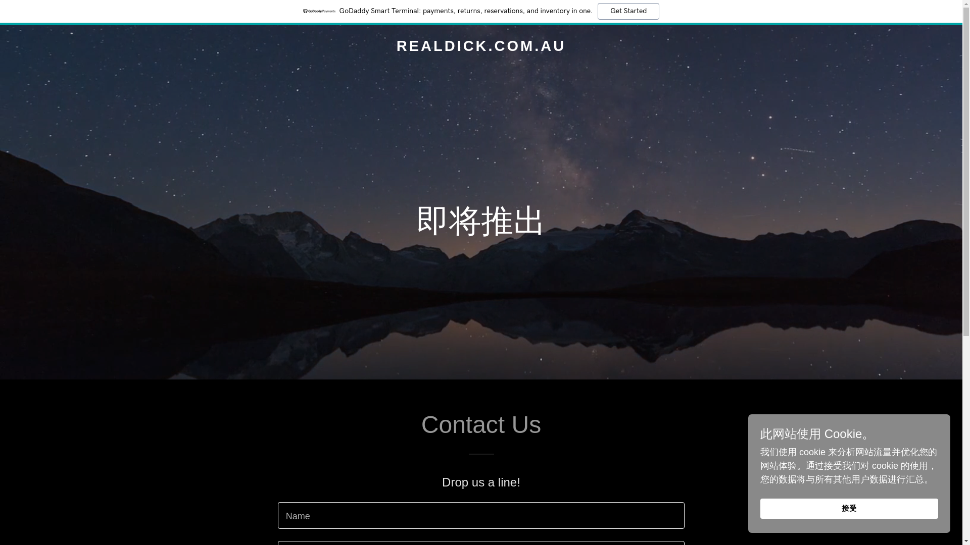website screenshot of https://realdick.com.au/