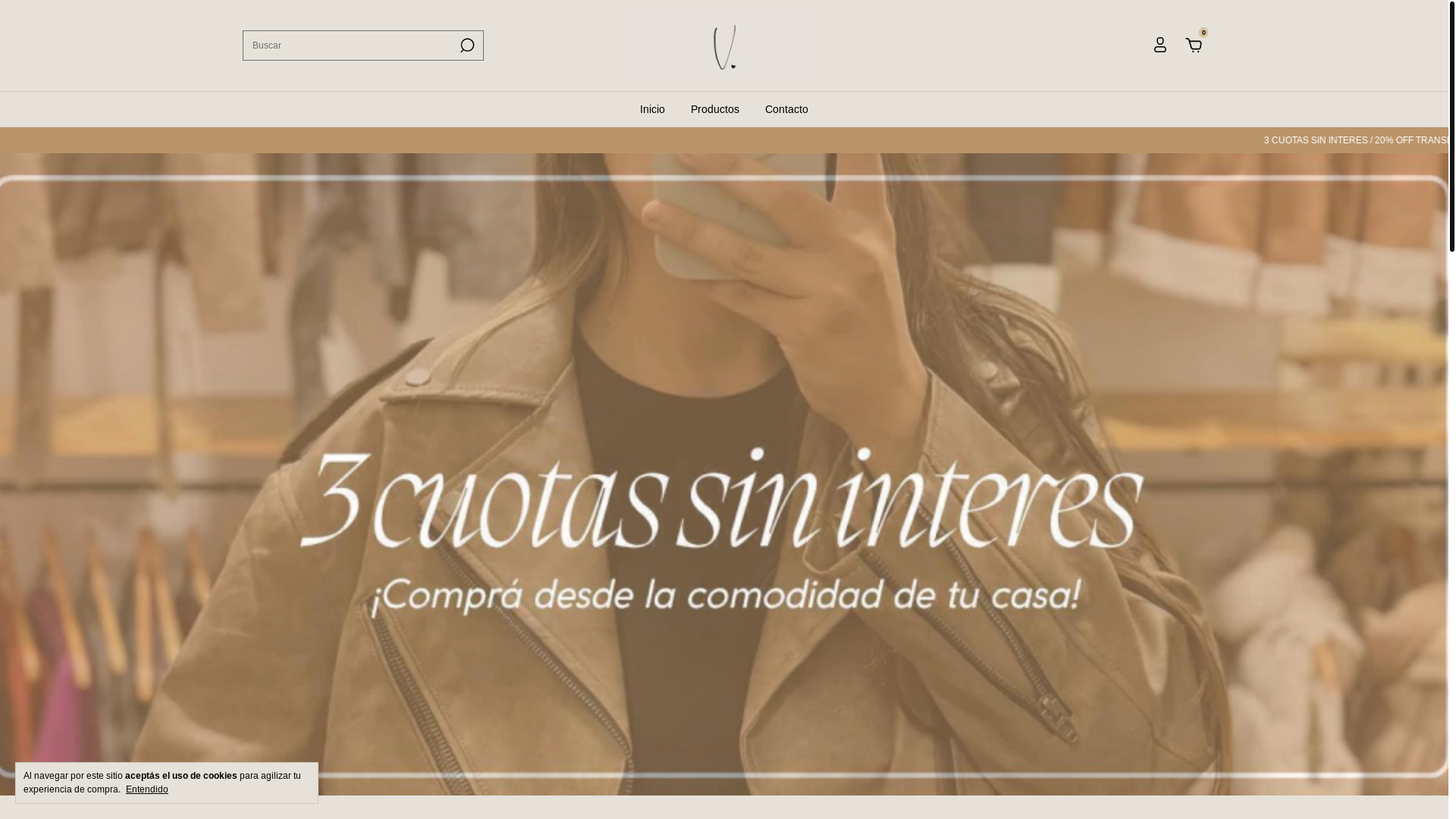 website screenshot of https://vochel.com.ar/