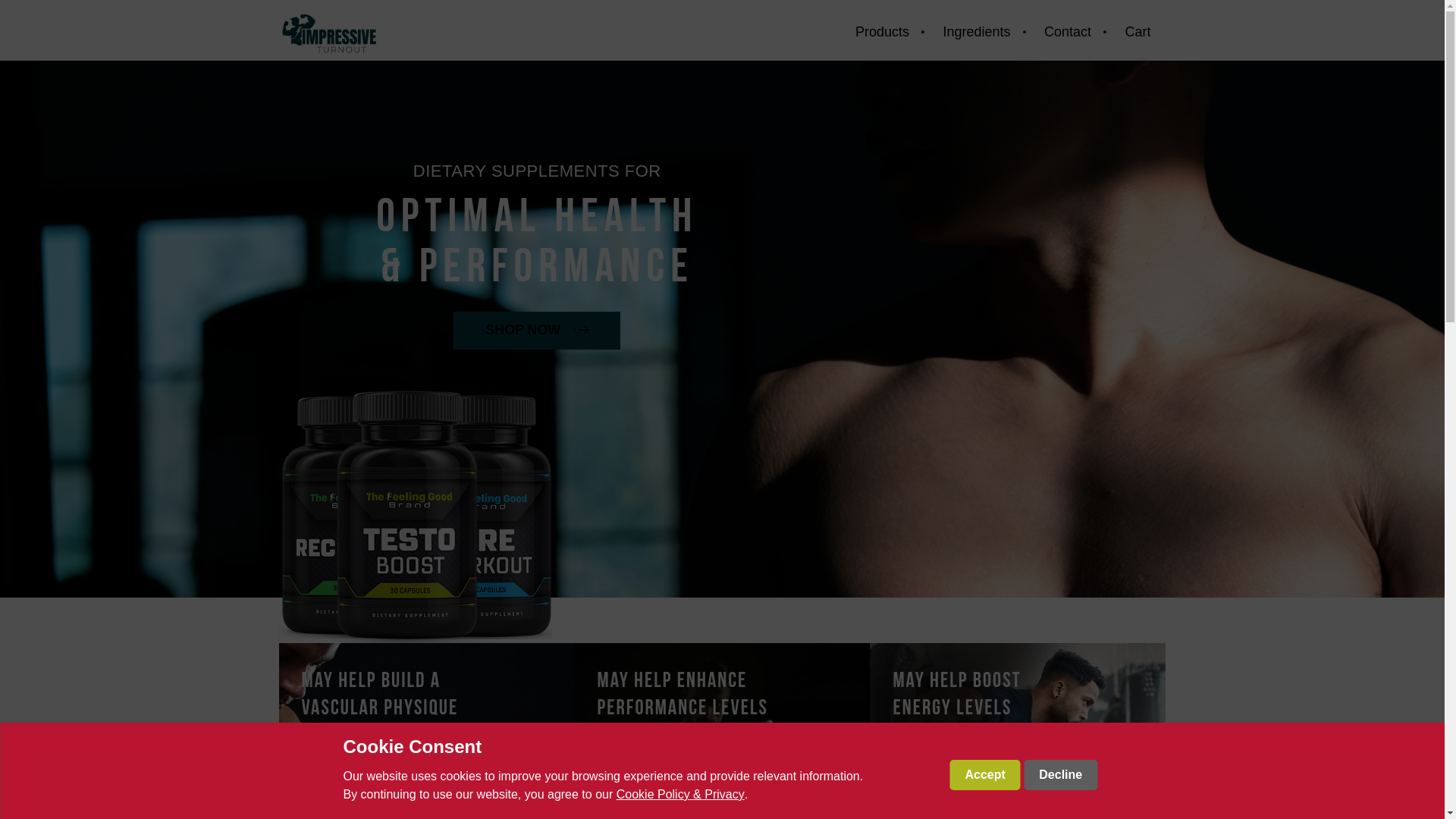 website screenshot of https://impressiveturnout.com/
