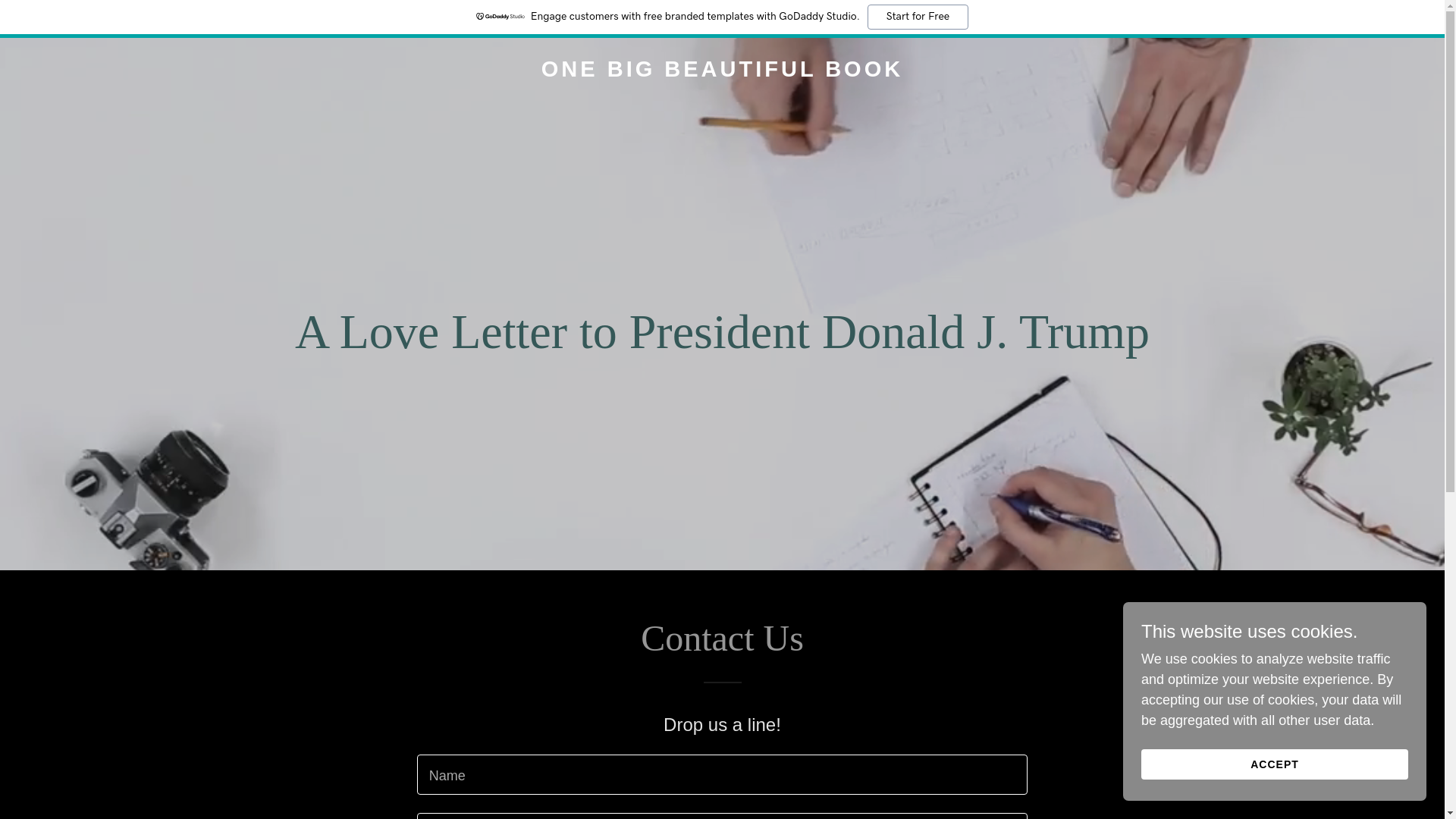 website screenshot of https://onebigbeautifulbook.us/