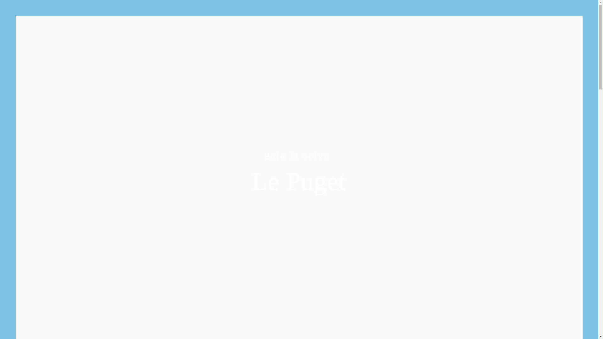 website screenshot of https://retraitelepuget.com/