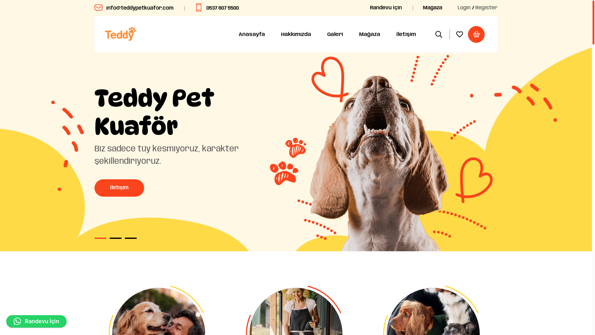 website screenshot of https://teddypetkuafor.com/