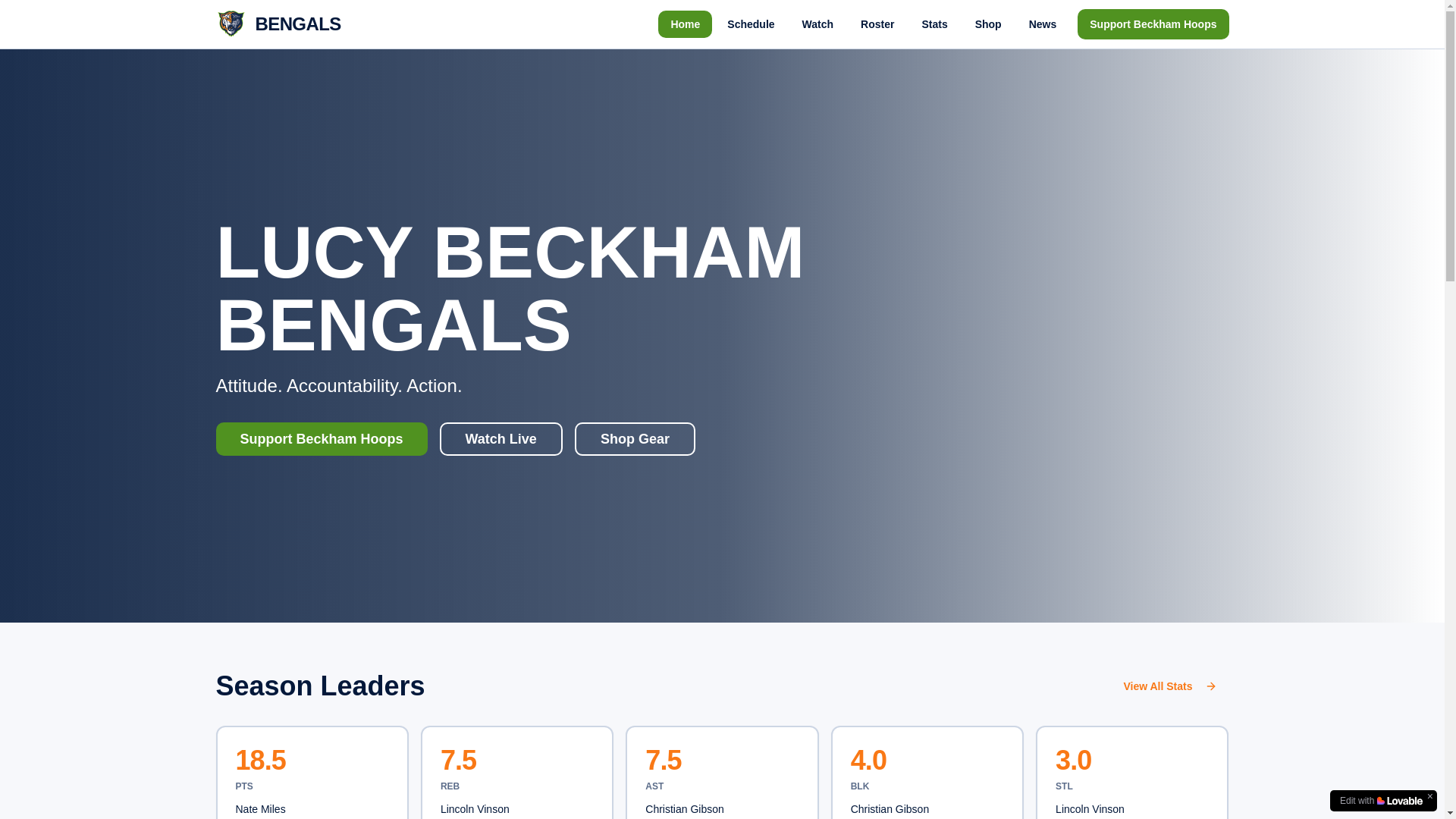 website screenshot of https://beckhamhoops.com/