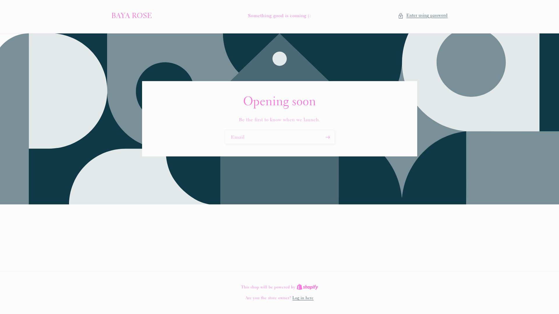 website screenshot of https://shopbayarose.com/