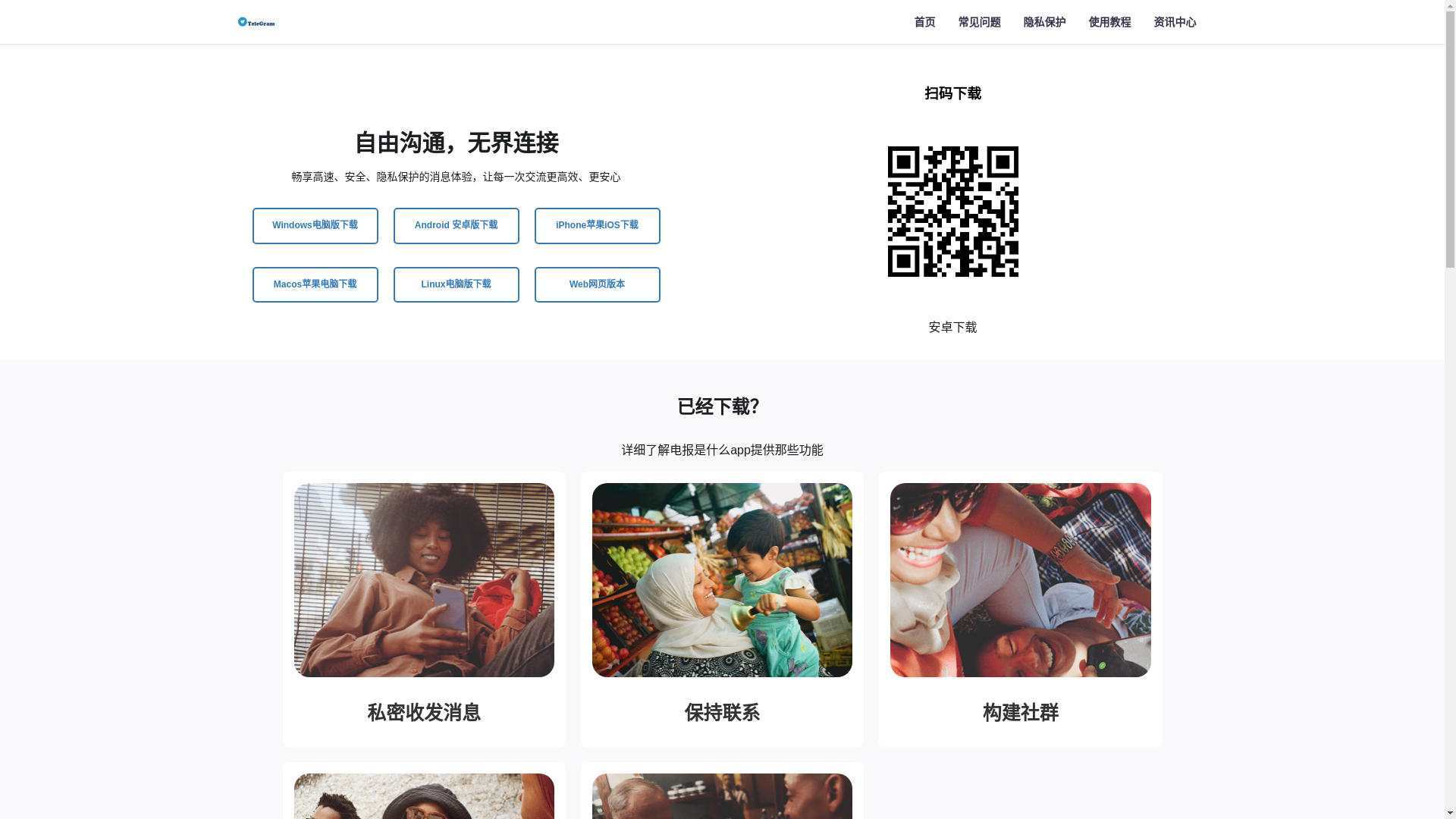 website screenshot of https://tg-dianbaohub.net/