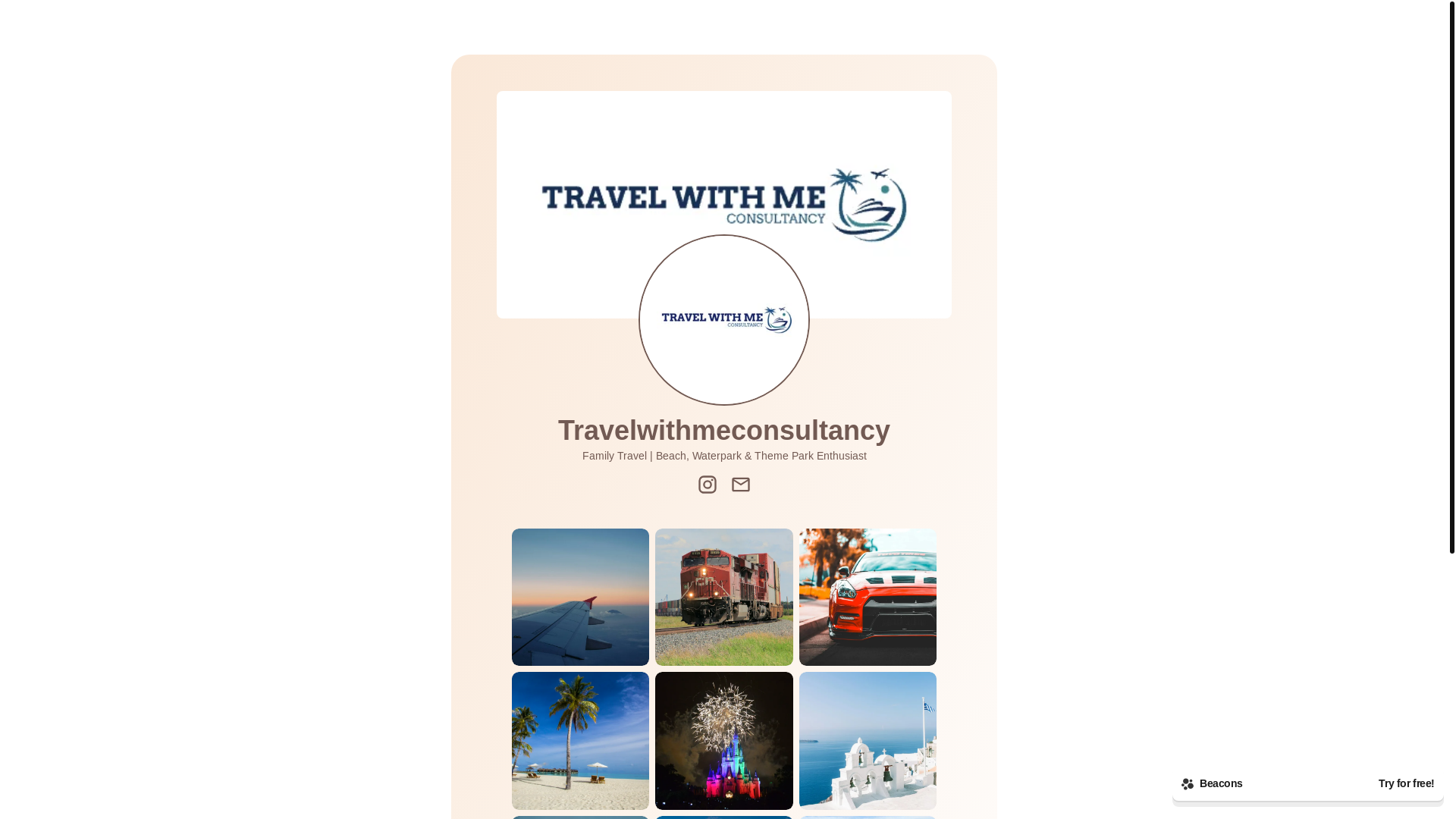 website screenshot of https://travelwithmeconsultancy.com/