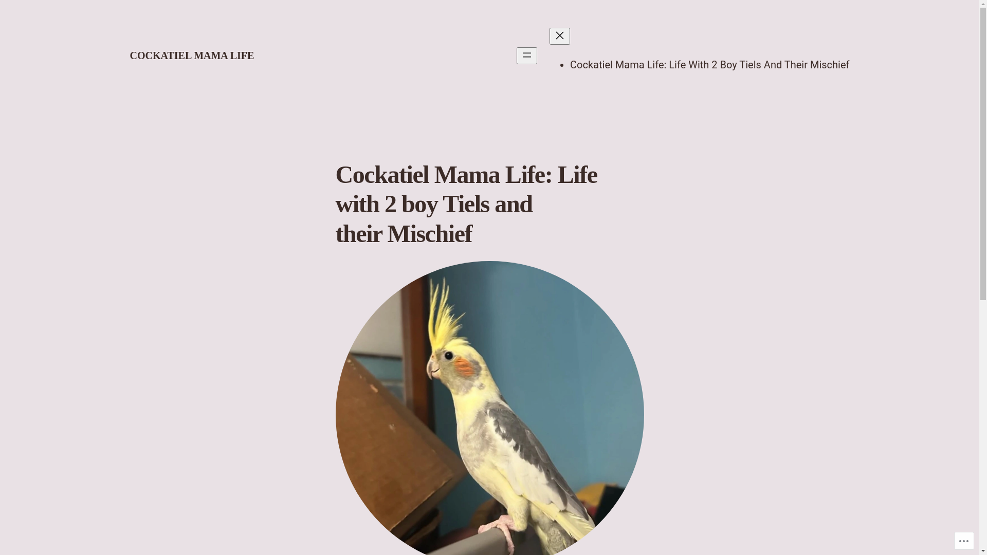 website screenshot of https://cockatielmamalife.com/