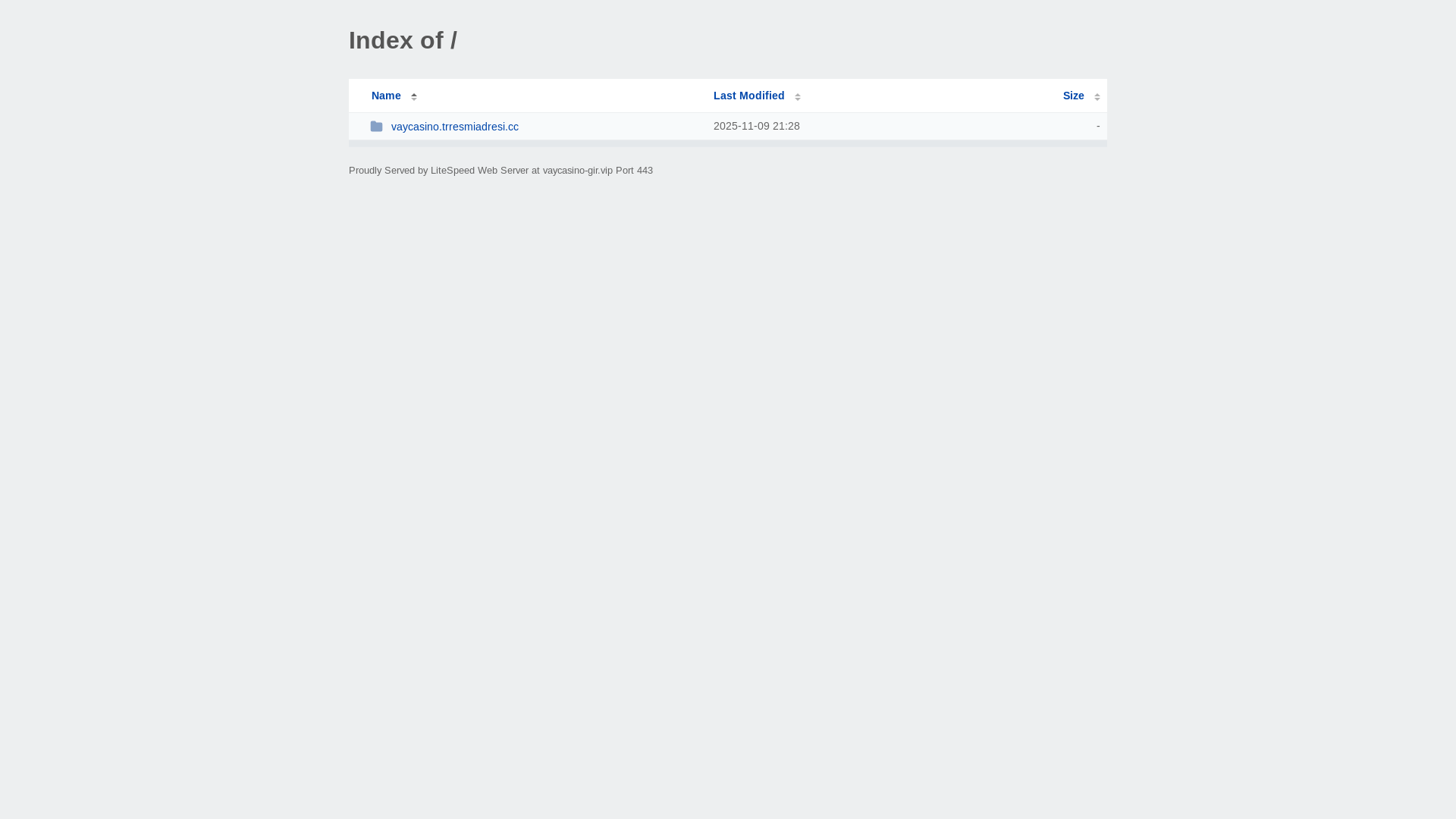 website screenshot of https://vaycasino-gir.vip/