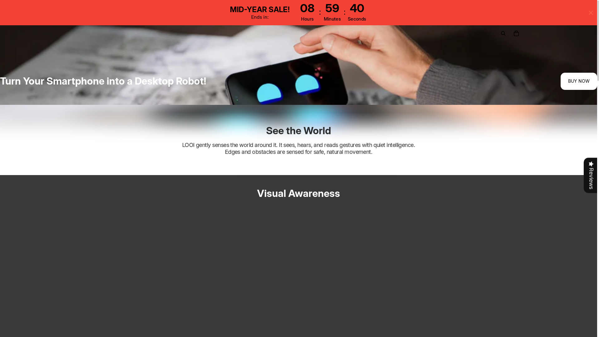 website screenshot of https://looiofficialstore.com/
