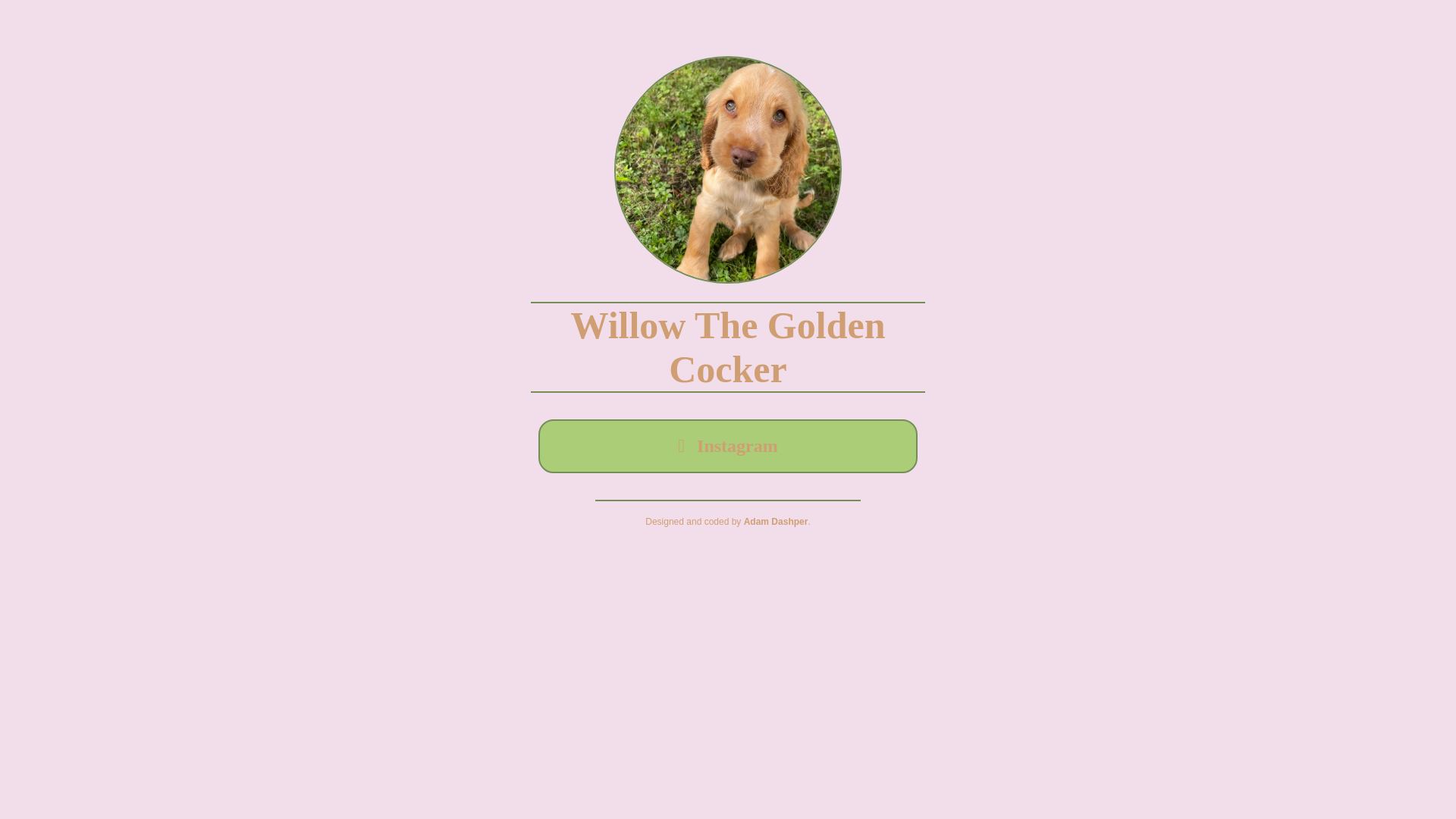 website screenshot of https://willowthegoldencocker.pages.dev/