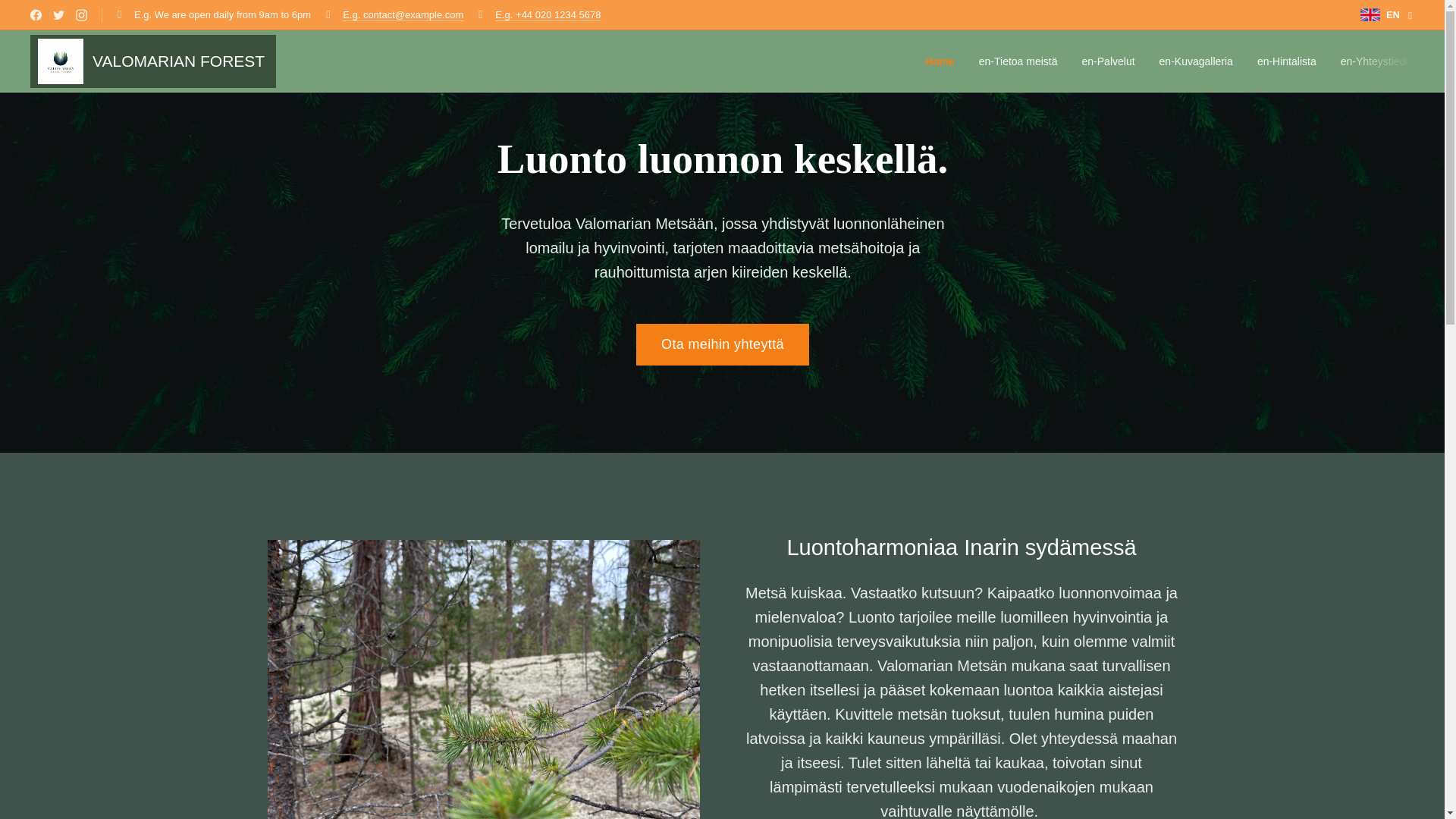website screenshot of https://valomarian.com/