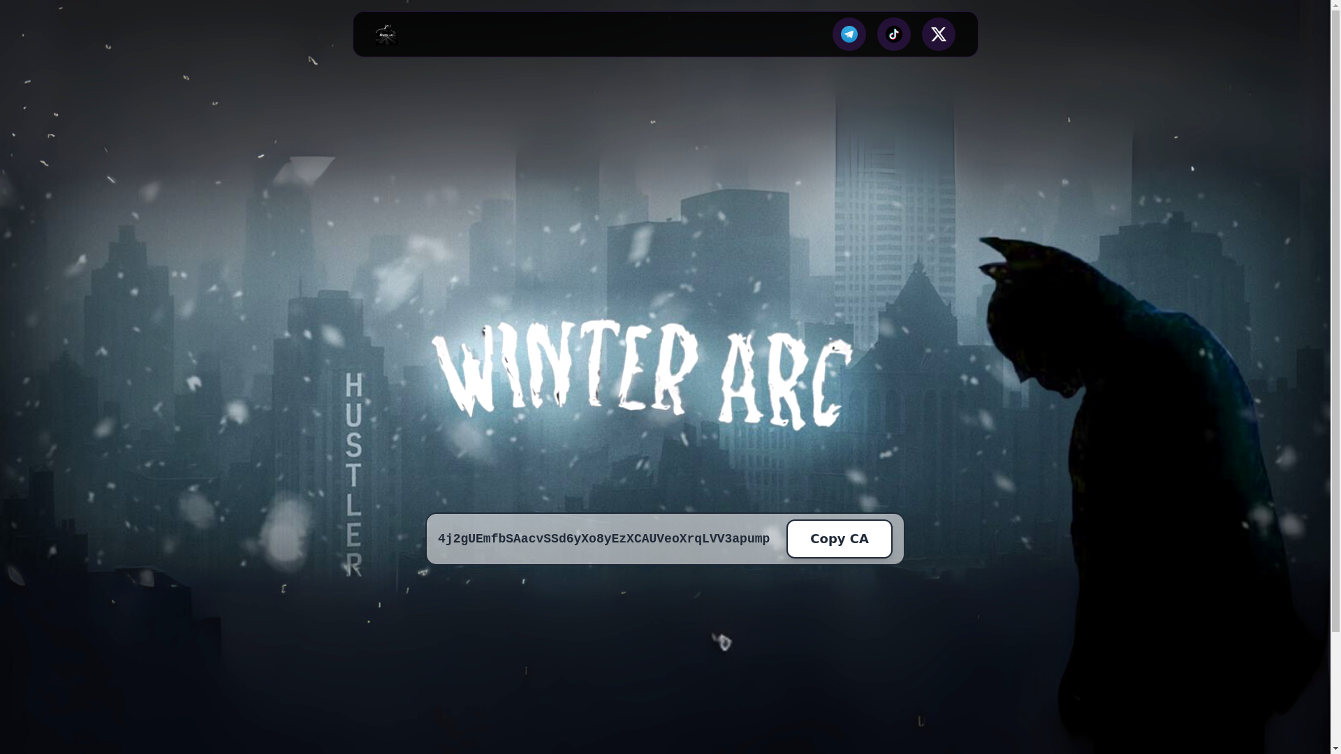 website screenshot of https://winter-arc.fun/