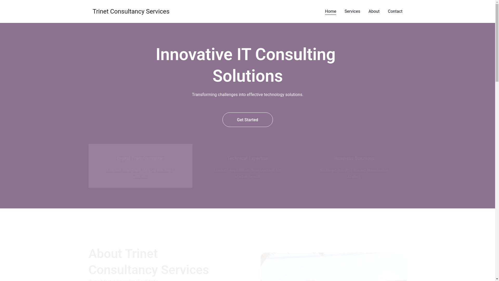 website screenshot of https://trinetconsultancyservices.in/