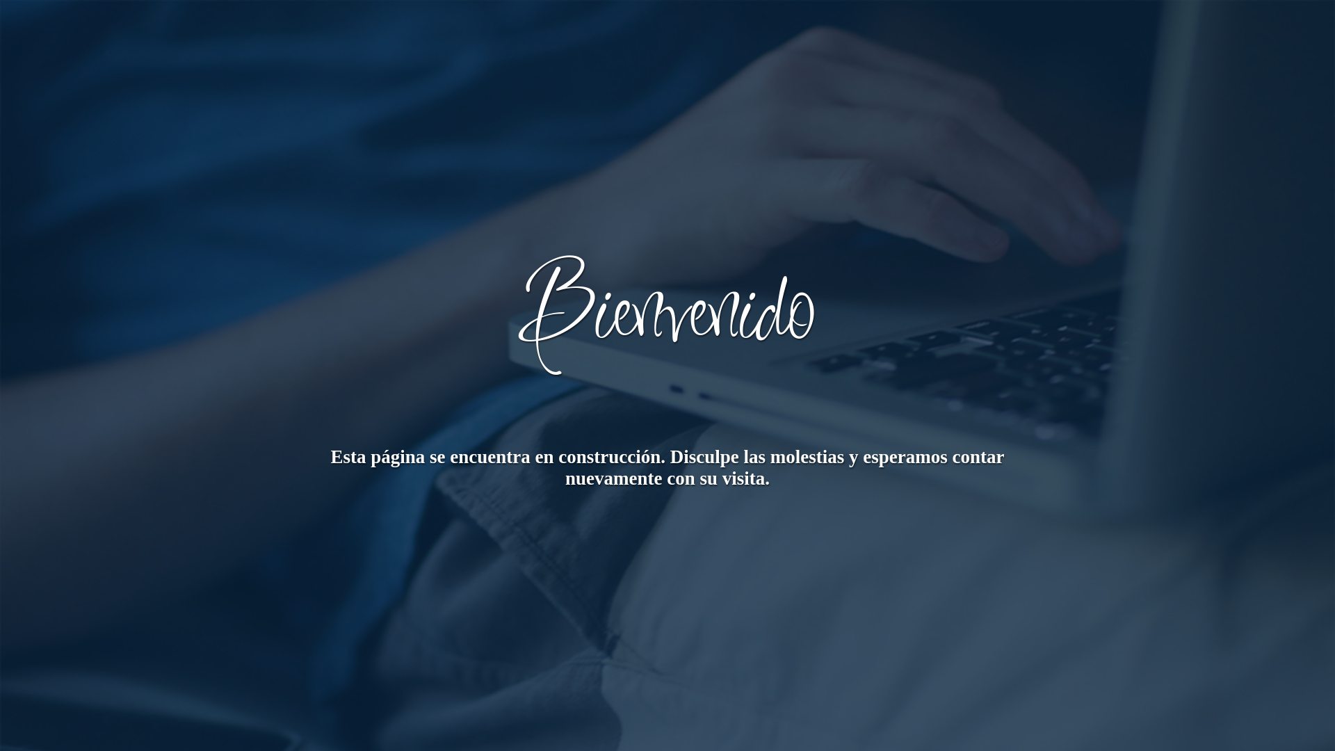 website screenshot of https://aryunaconsultora.com/