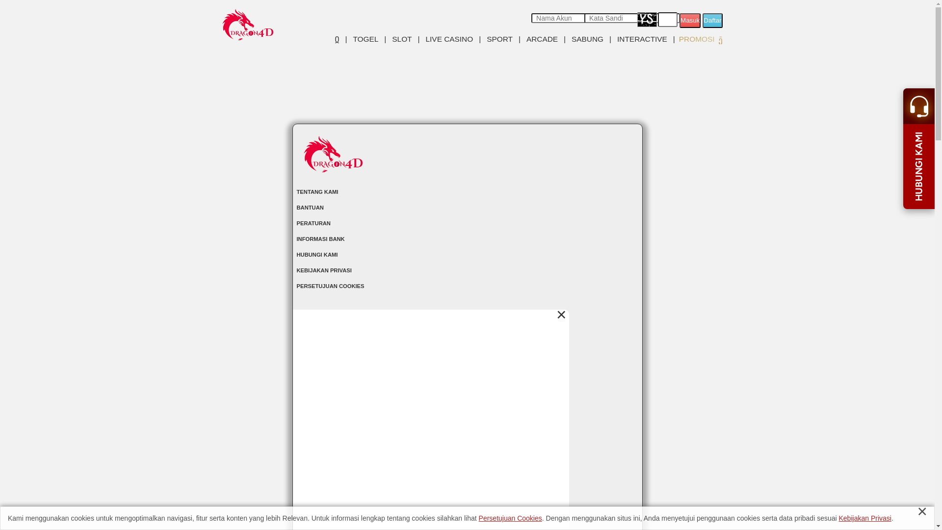website screenshot of https://dragon4daccess.com/