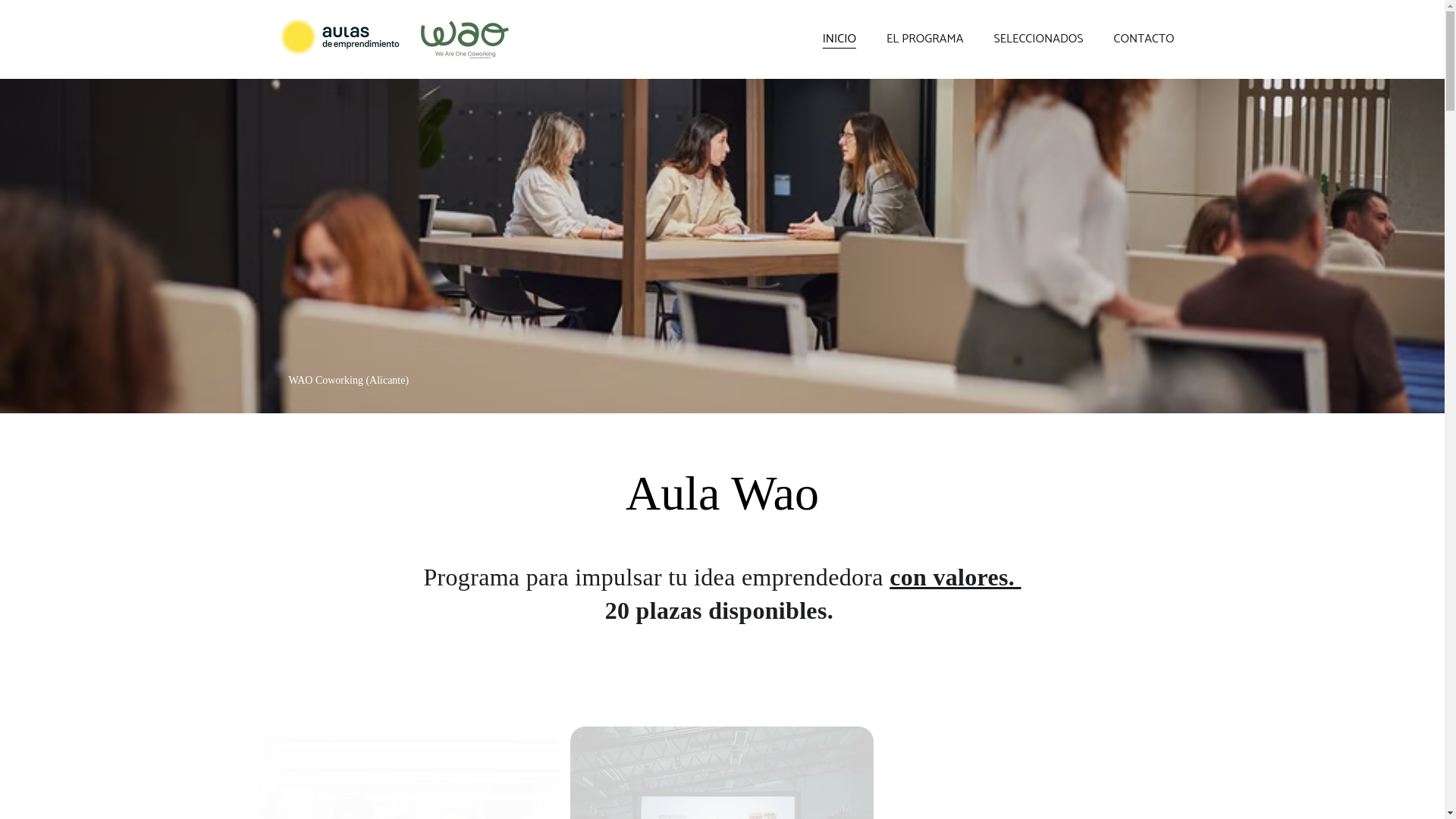 website screenshot of https://aulawao.com/