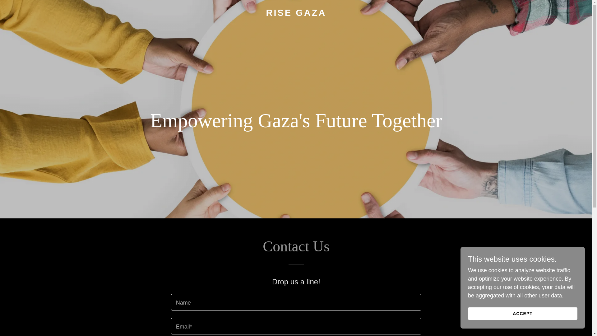 website screenshot of https://risegaza.org/