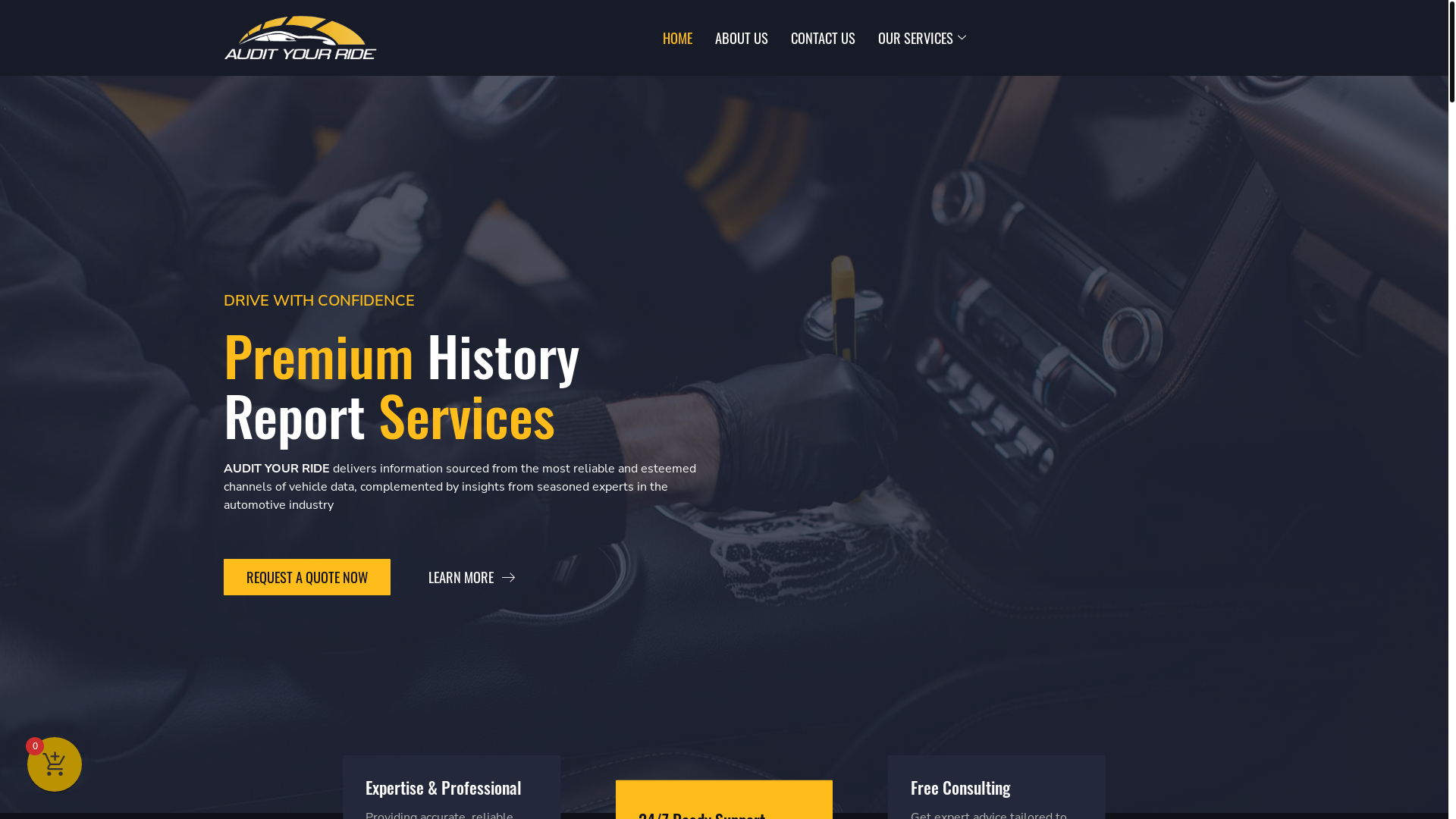 website screenshot of https://audityourride.com/