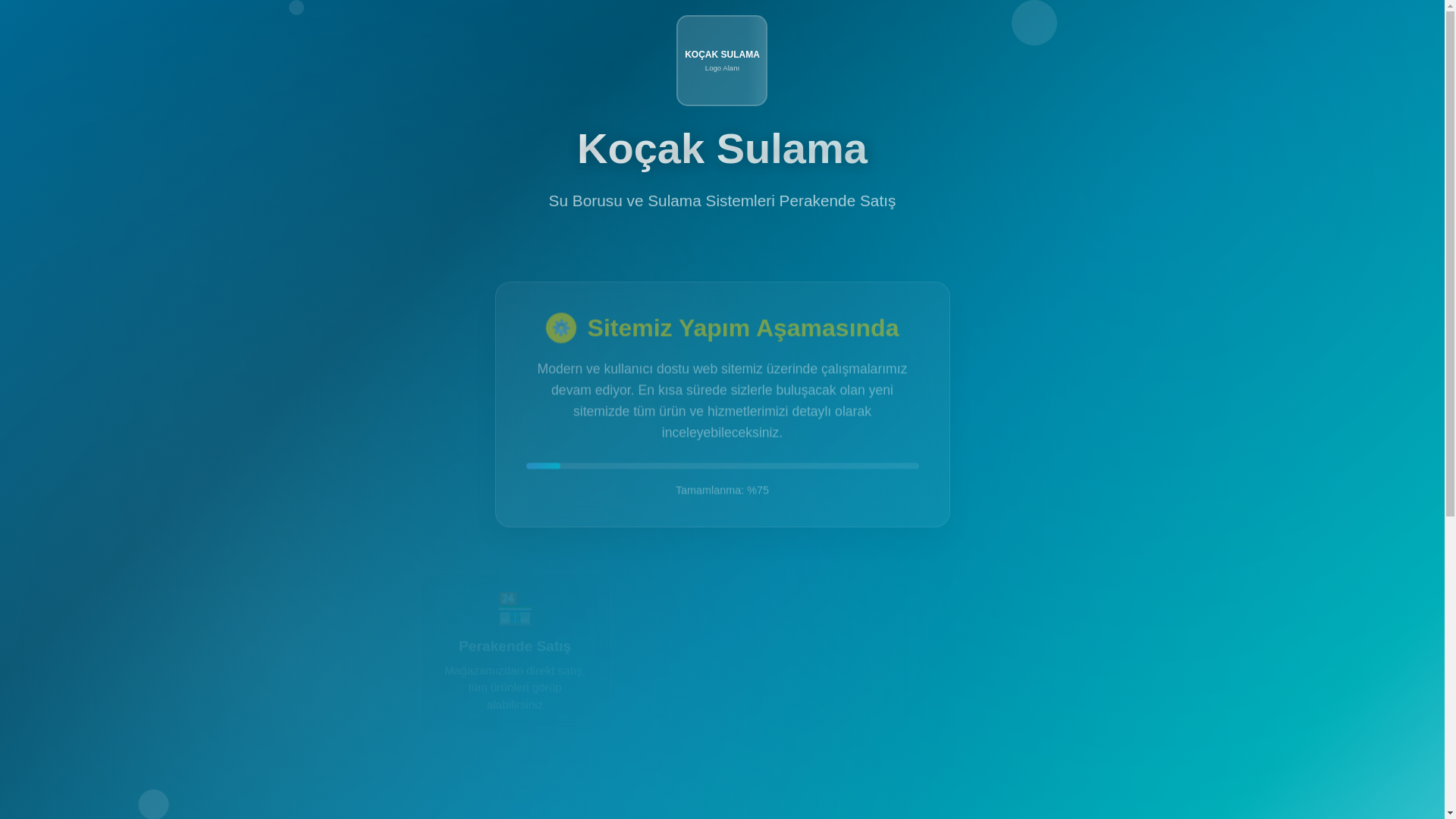 website screenshot of https://kocaksulama.com/