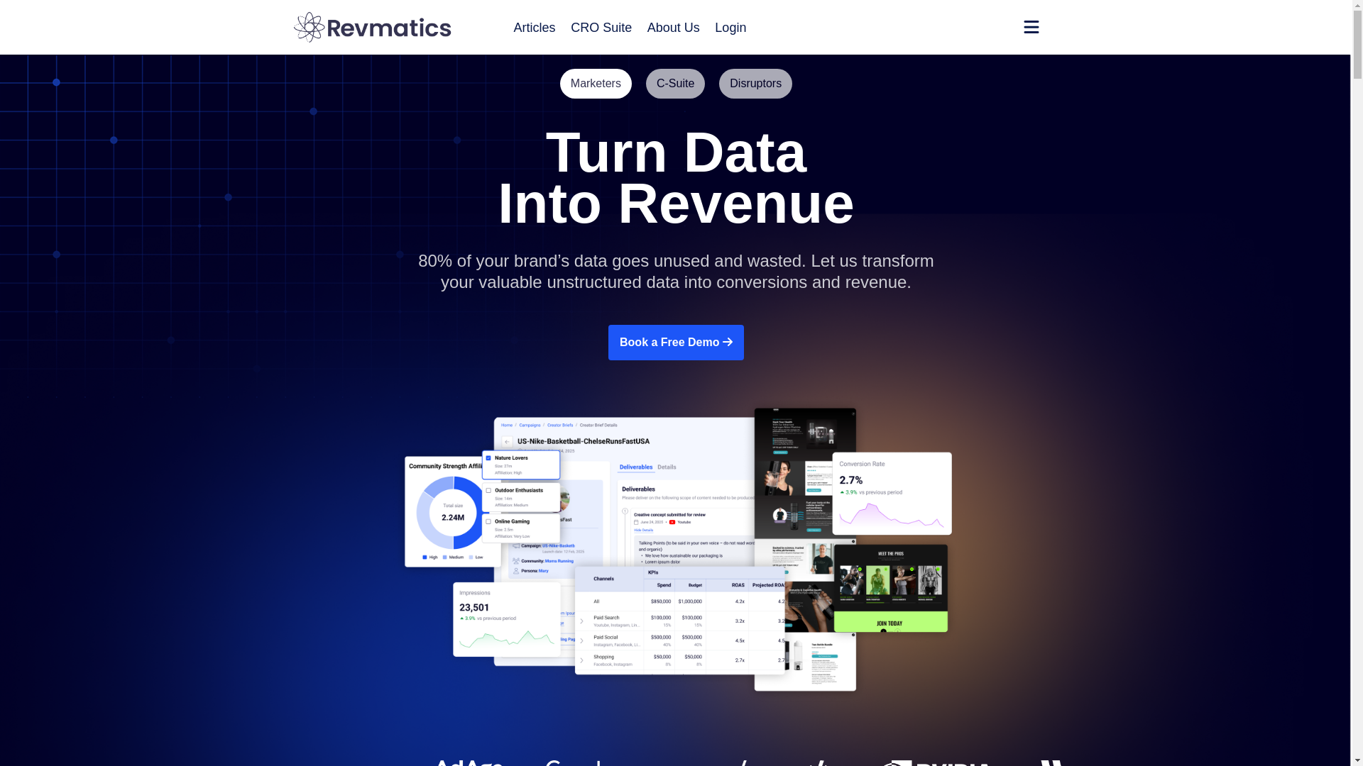 website screenshot of https://revmaticsgo.com/