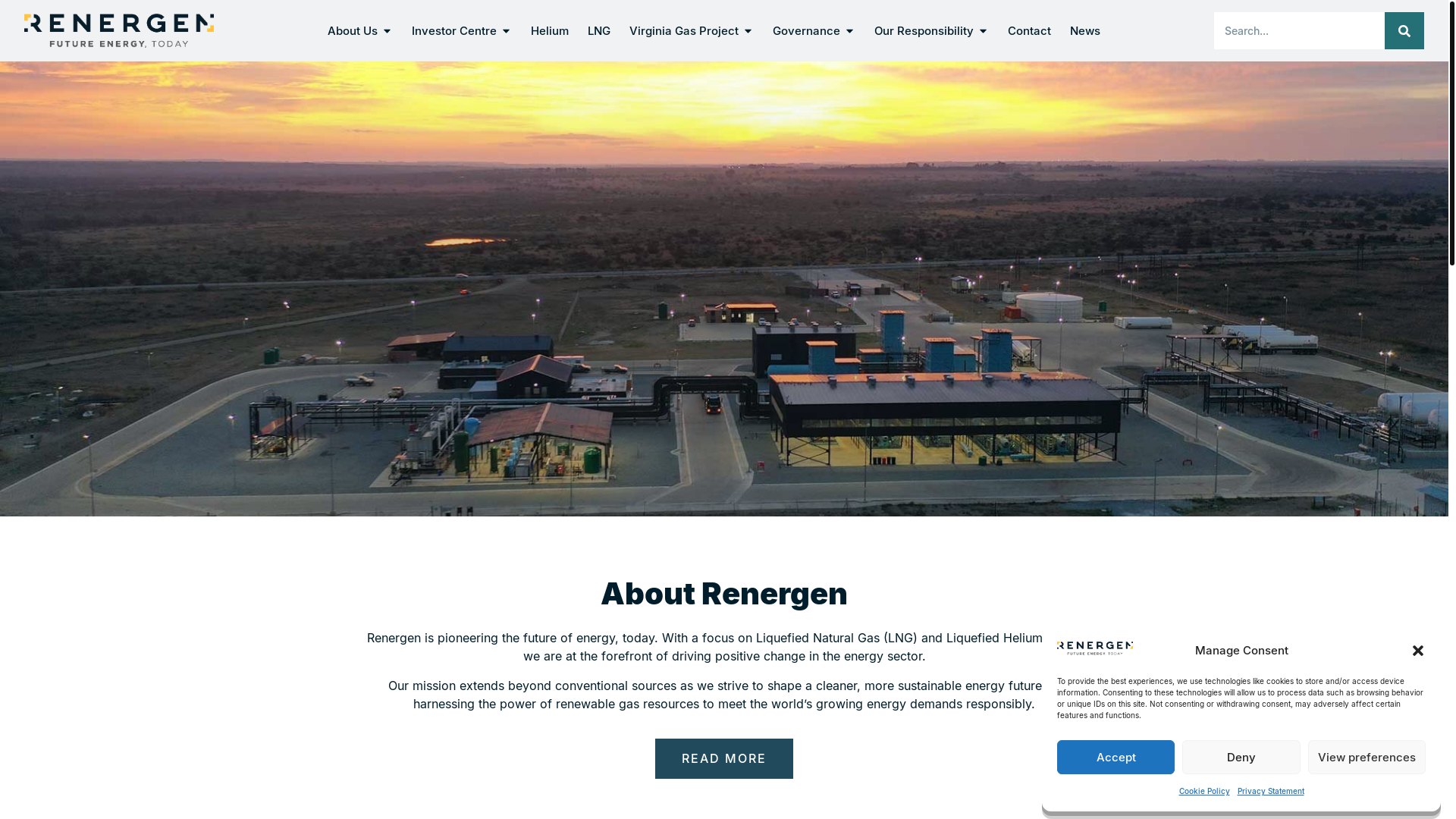 website screenshot of https://www.renergen.co.za/