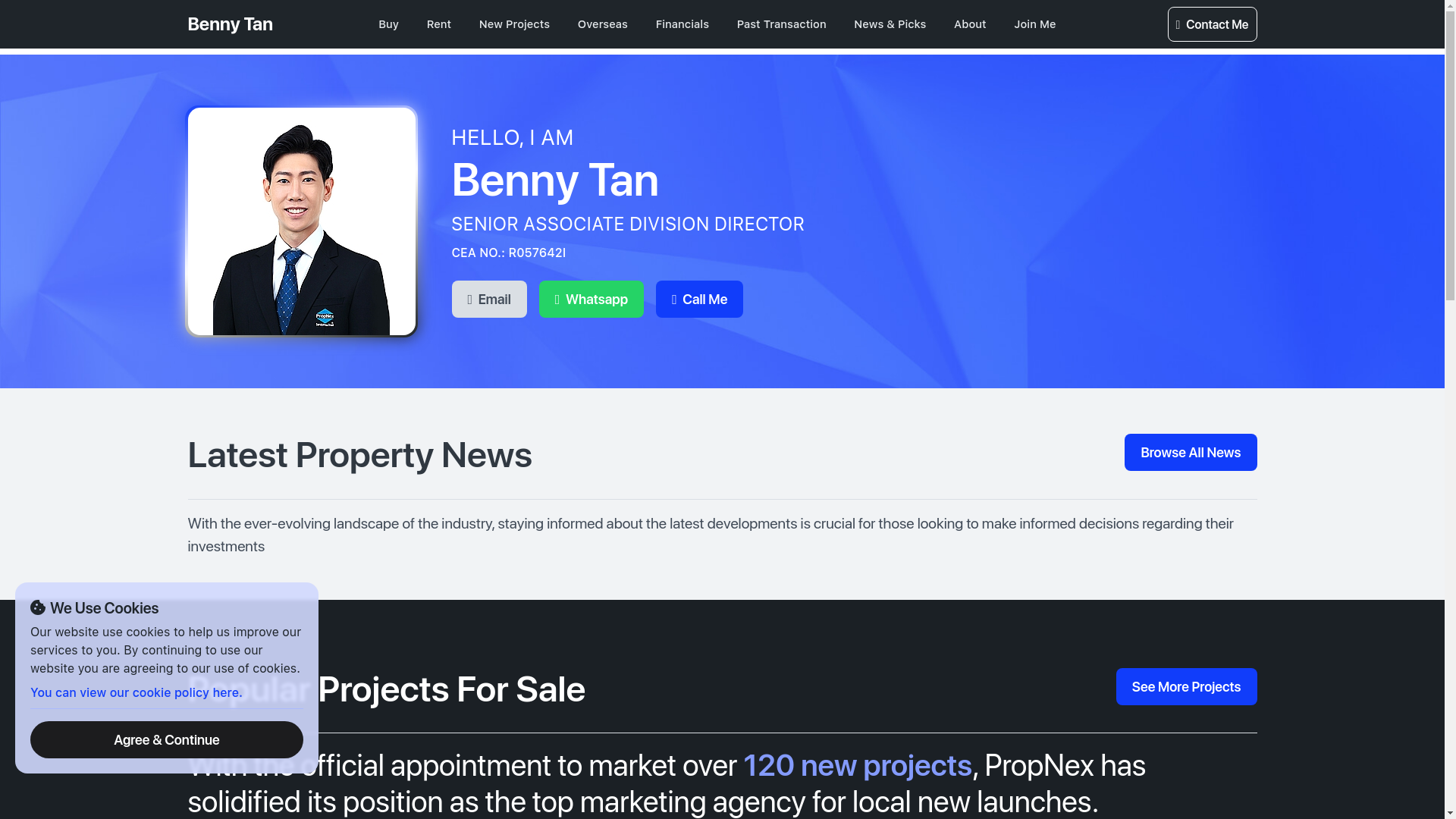 website screenshot of https://projectshowflat.com.sg/