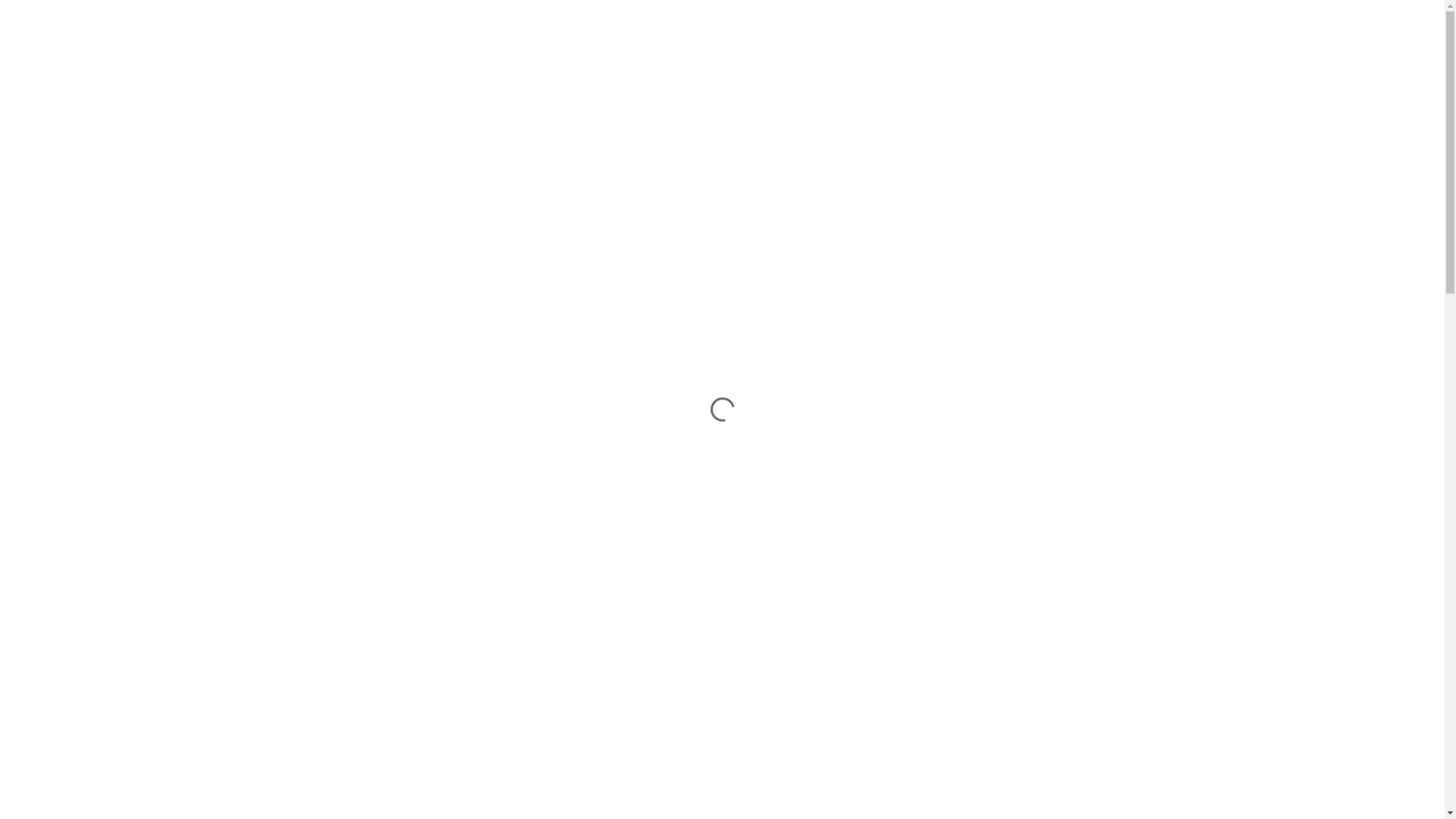 website screenshot of https://litenvacker.com/