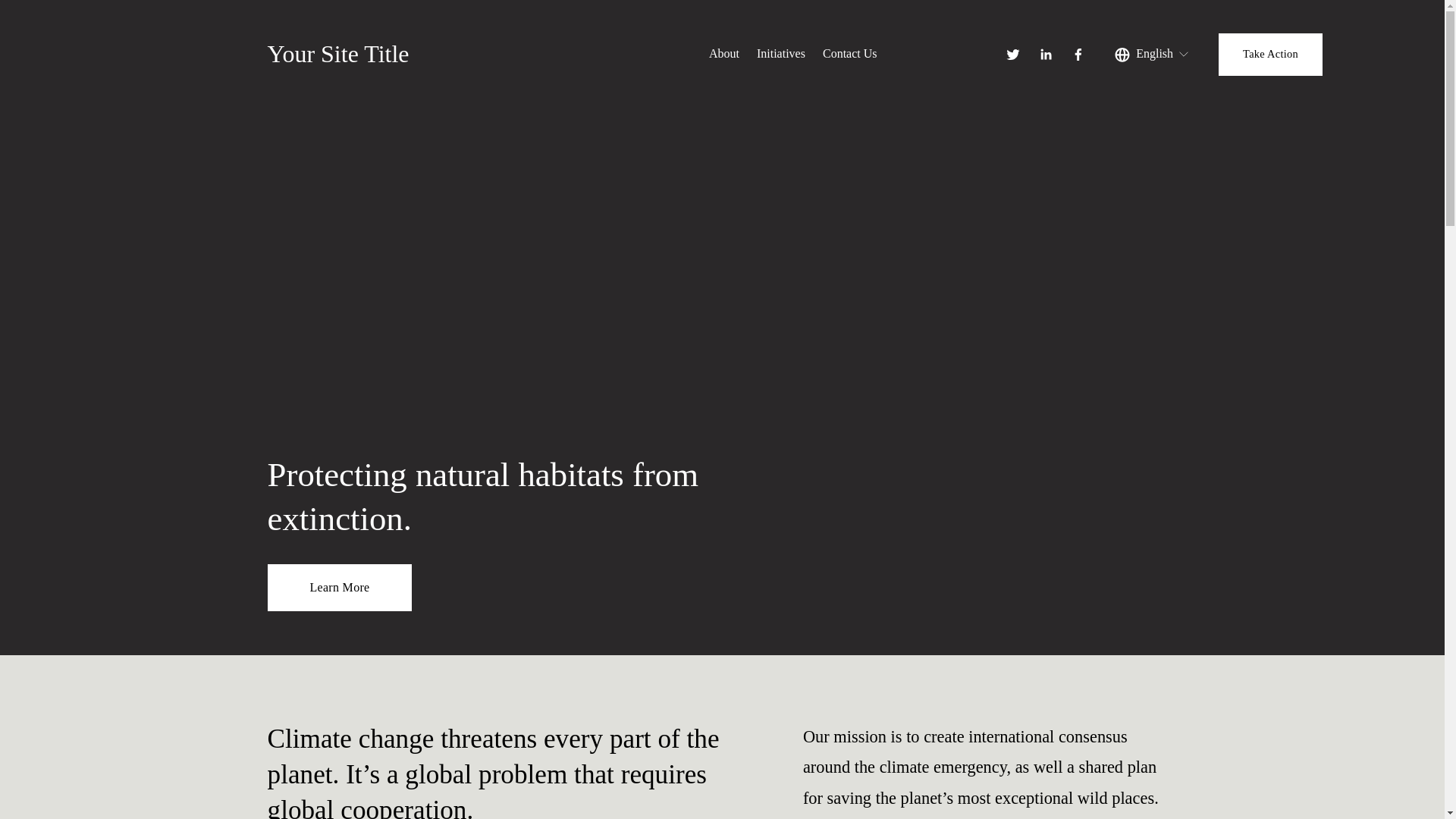 website screenshot of https://shadedoasistx.com/