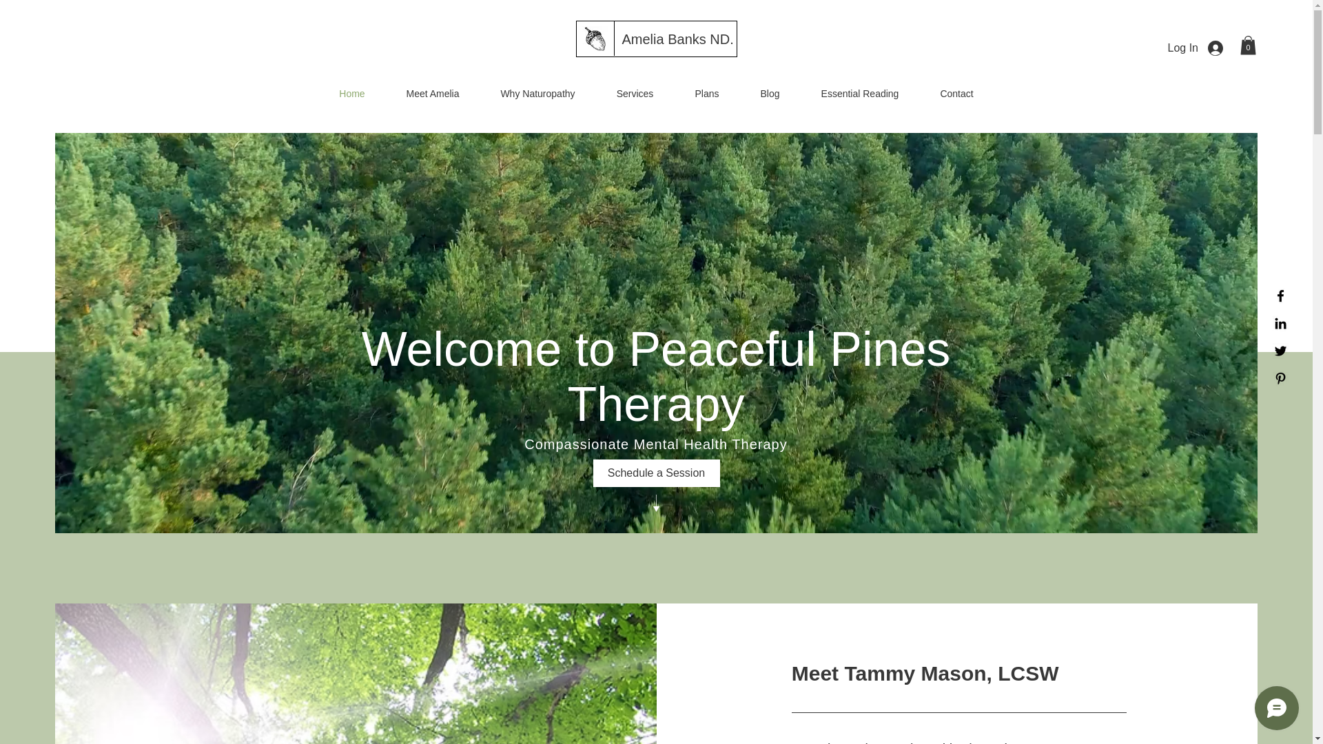 website screenshot of https://peacefulpinestherapy.com/