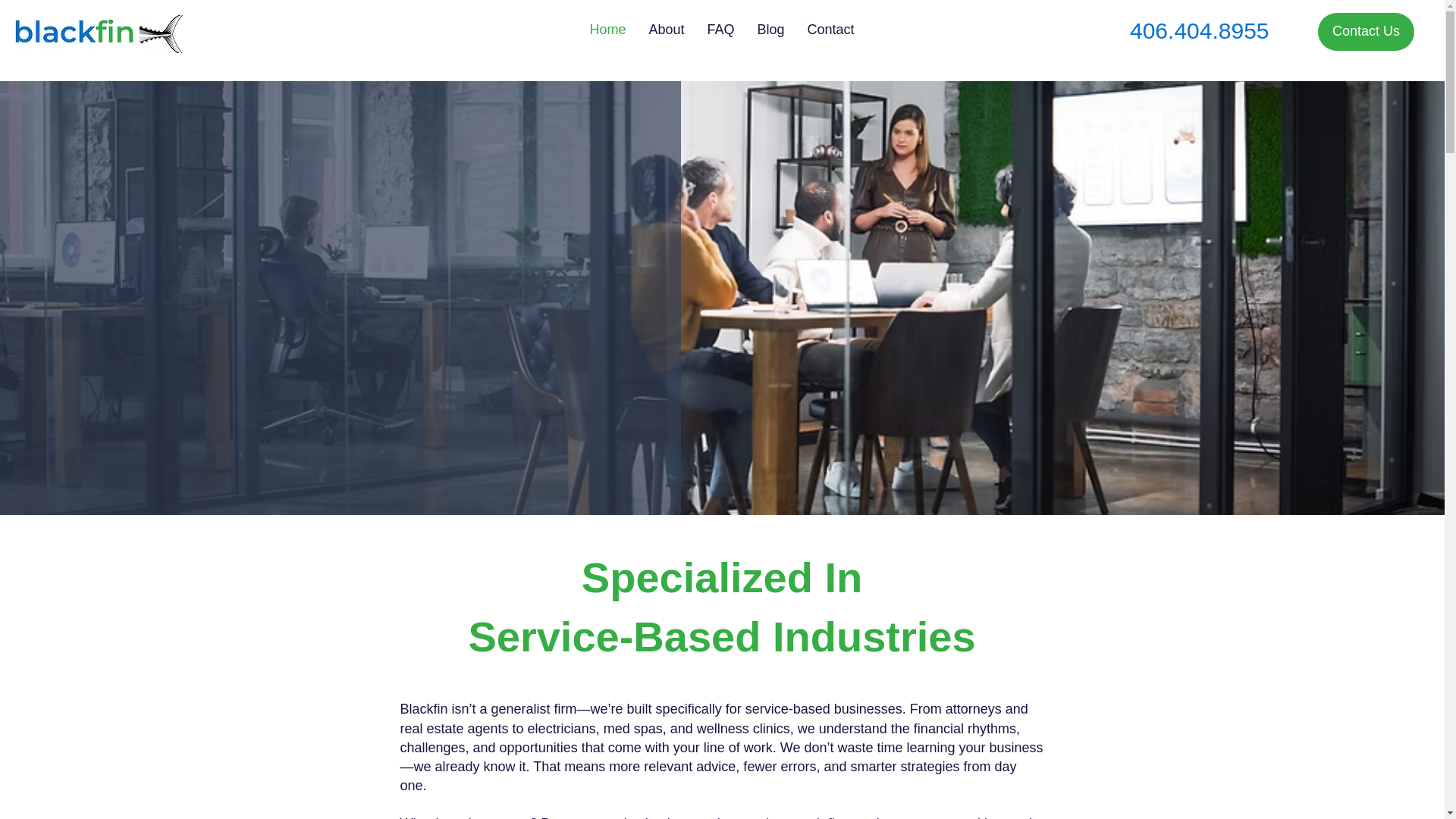 website screenshot of https://teamblackfin.com/