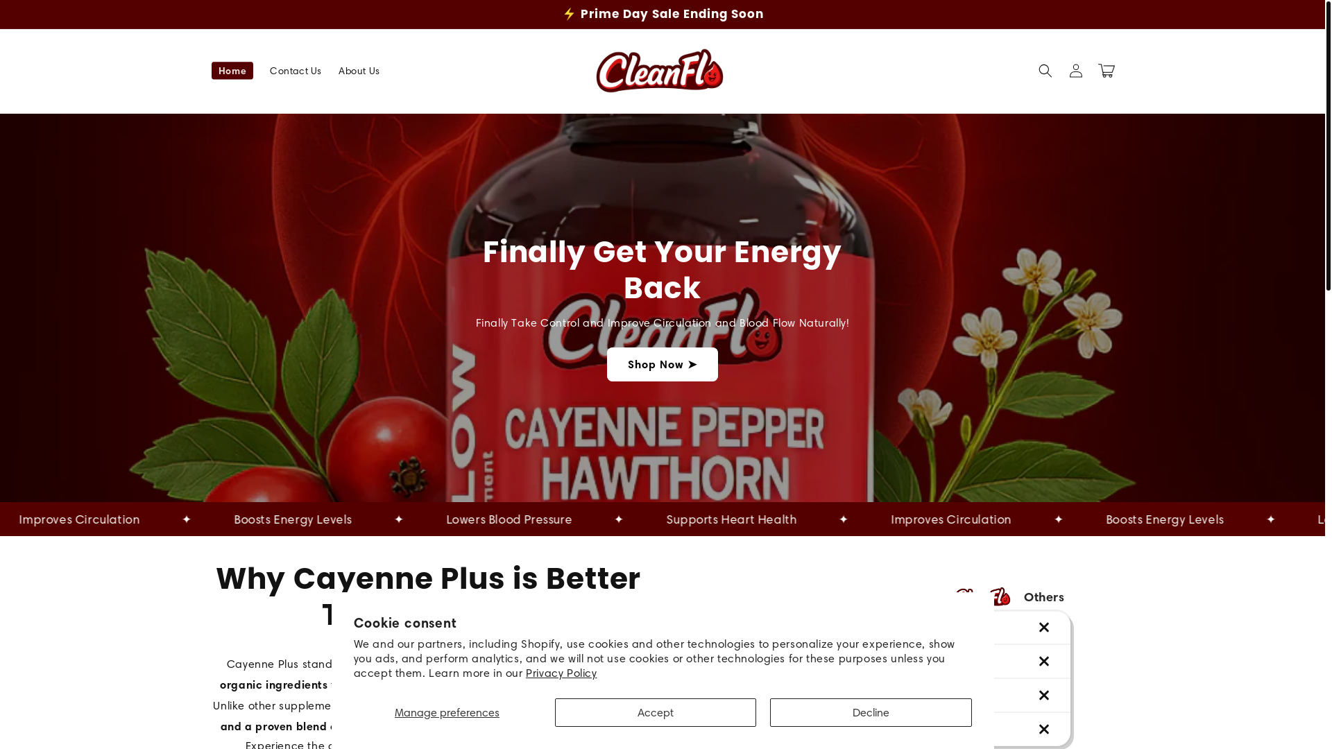 website screenshot of https://mycleanflo.com/