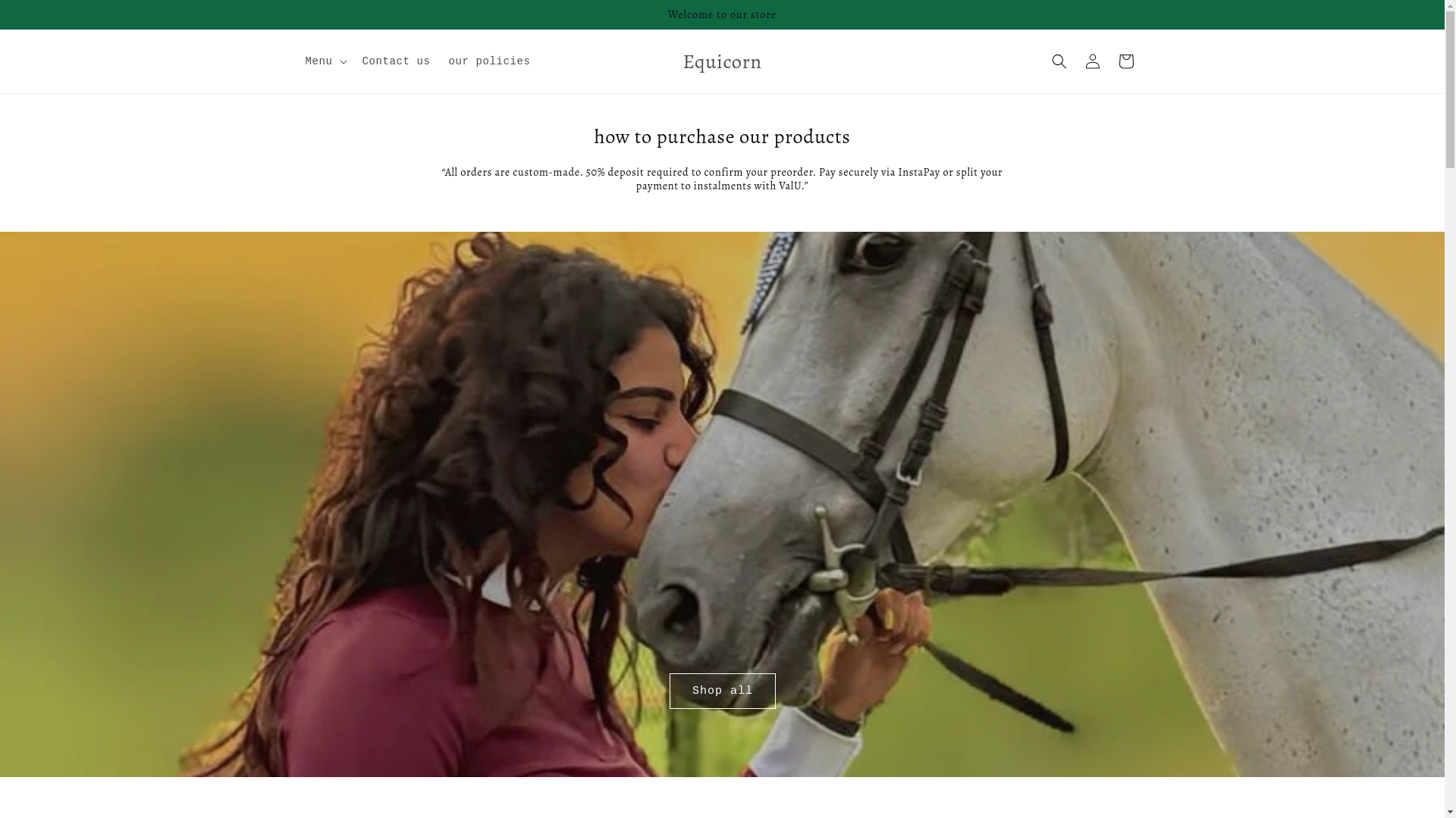 website screenshot of https://equicorneg.com/