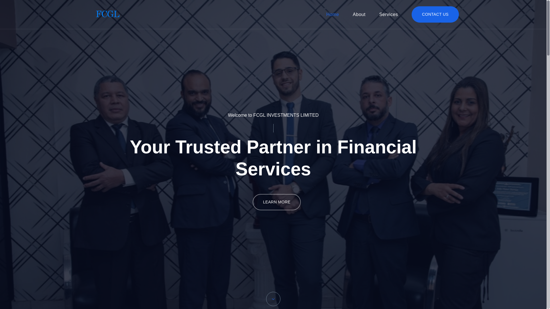 website screenshot of https://fcglinvestmentslimited.pages.dev/