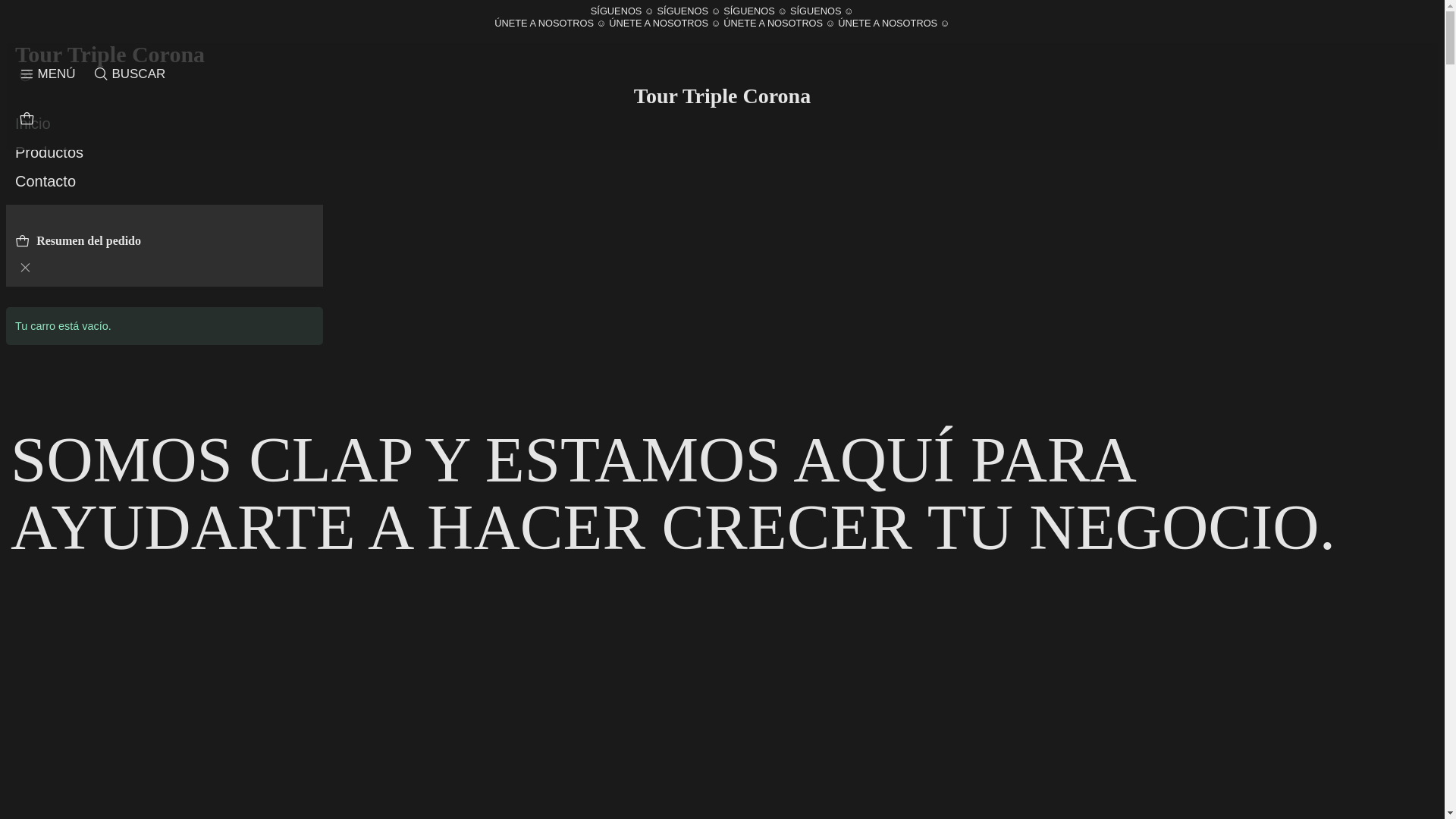 website screenshot of https://tourtriplecorona.cl/