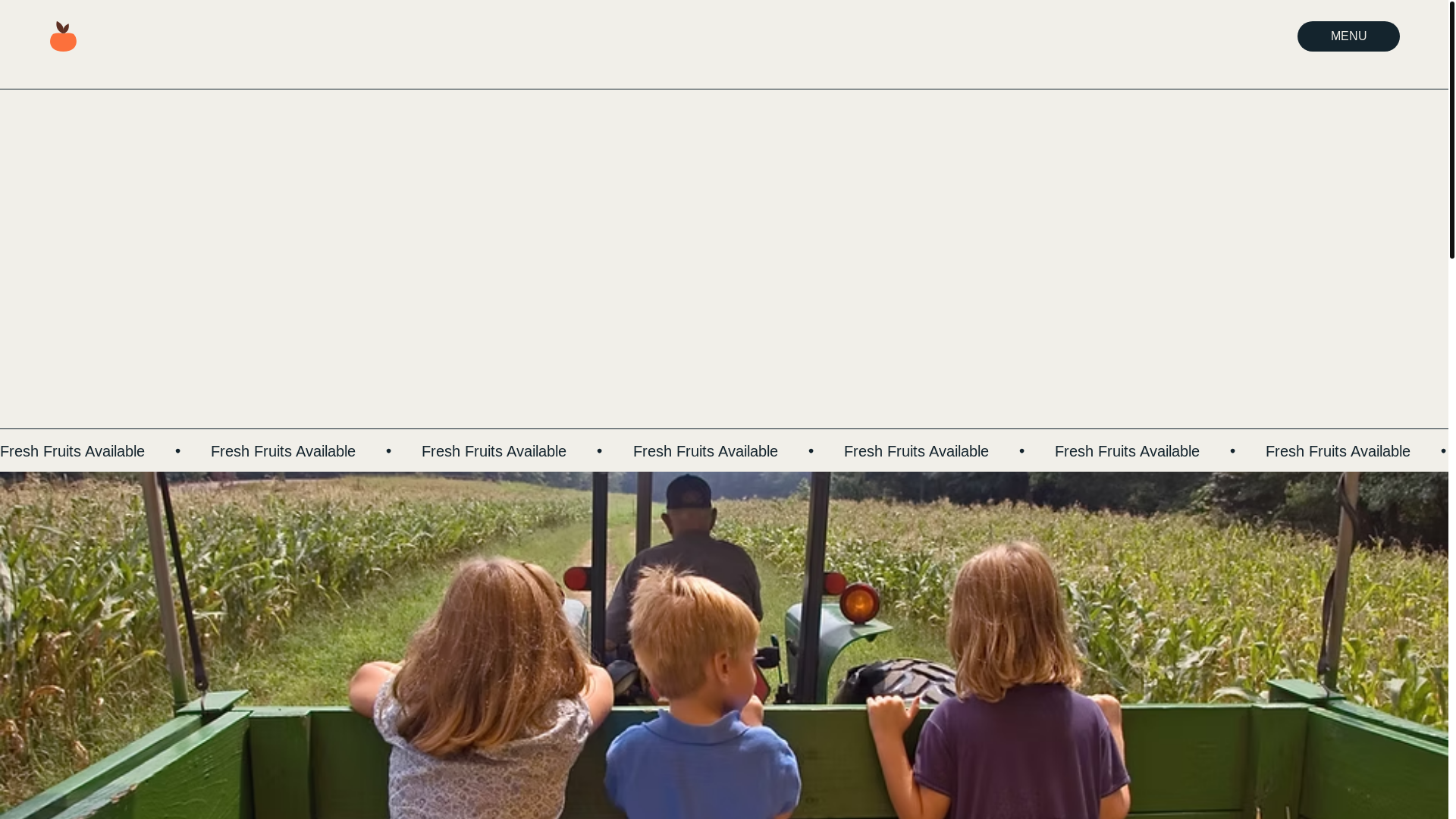 website screenshot of https://miniveg.com.au/