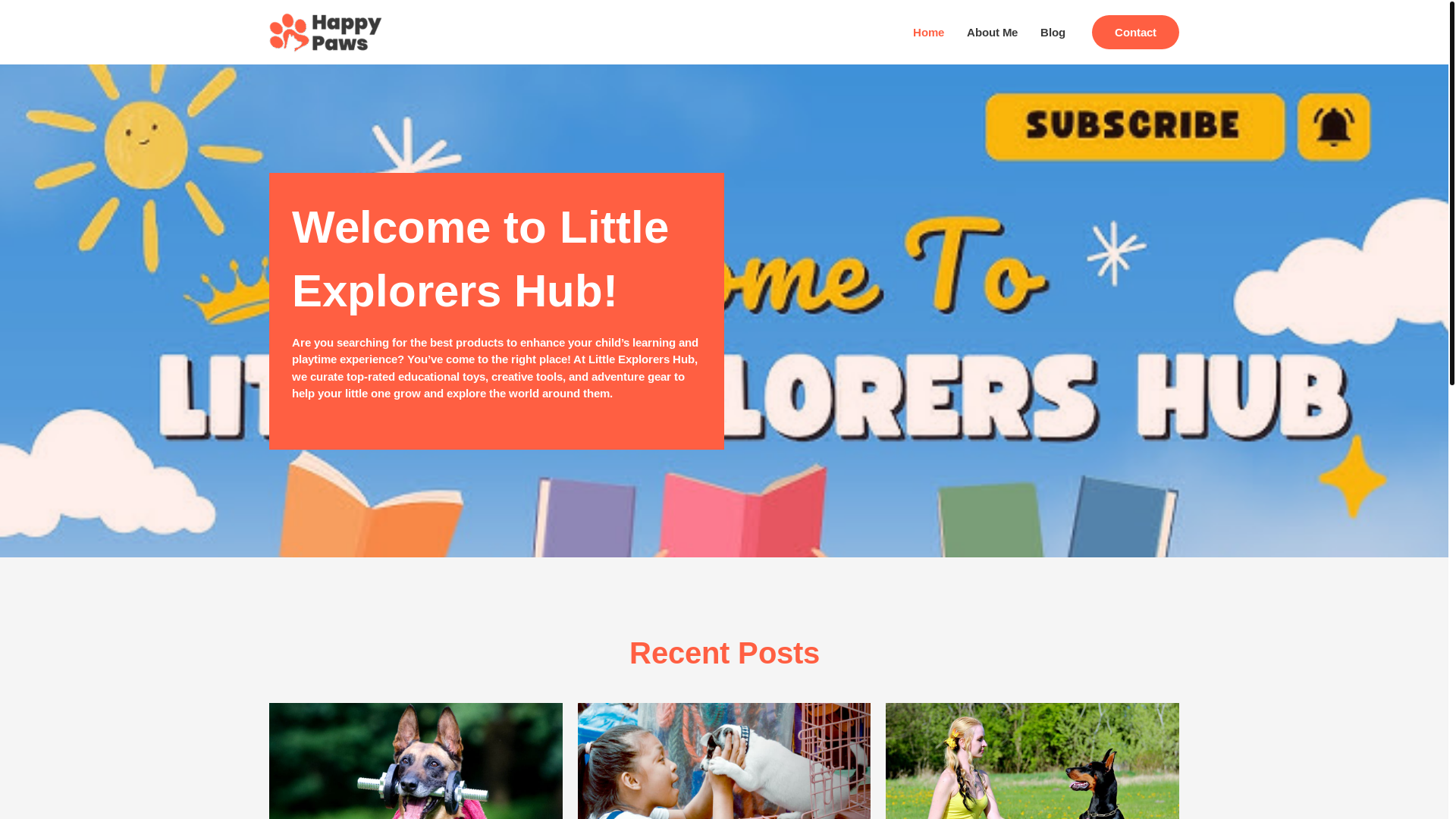 website screenshot of https://littleexplorershub.shop/