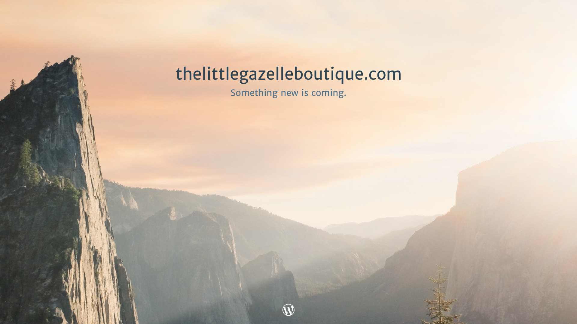 website screenshot of https://thelittlegazelleboutique.com/