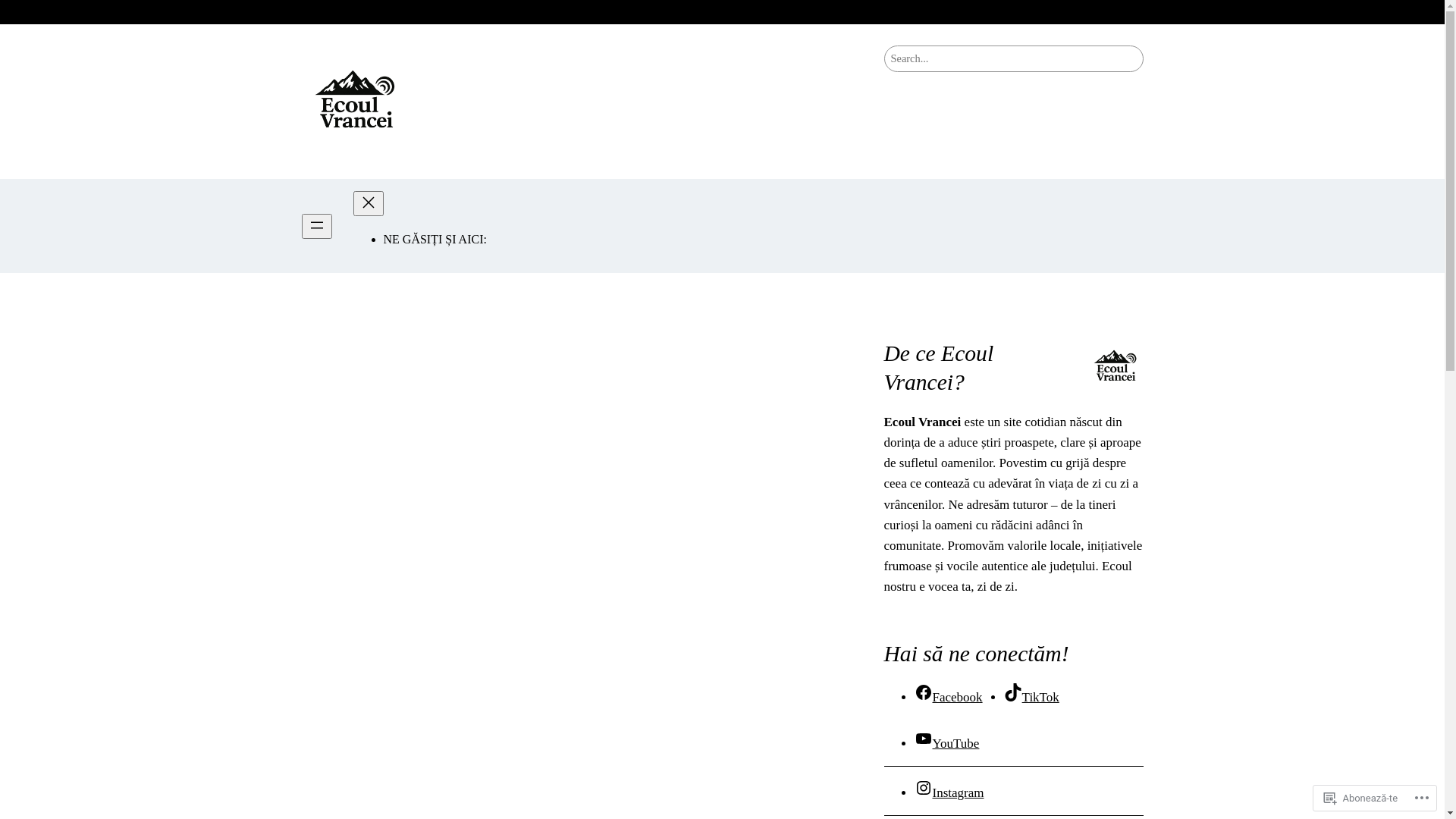 website screenshot of https://ecoulvrancei.ro/