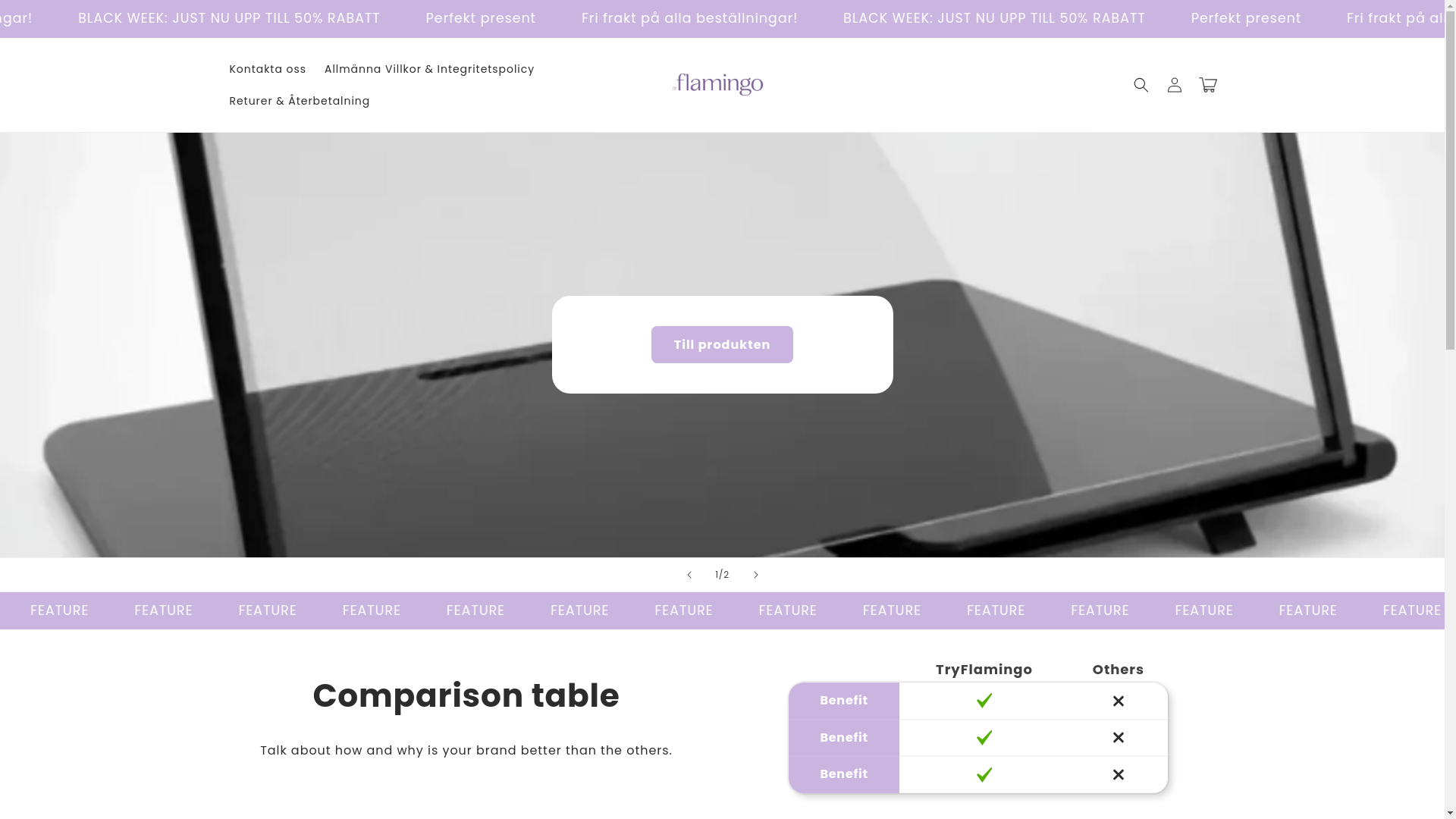 website screenshot of https://tryflamingo.store/