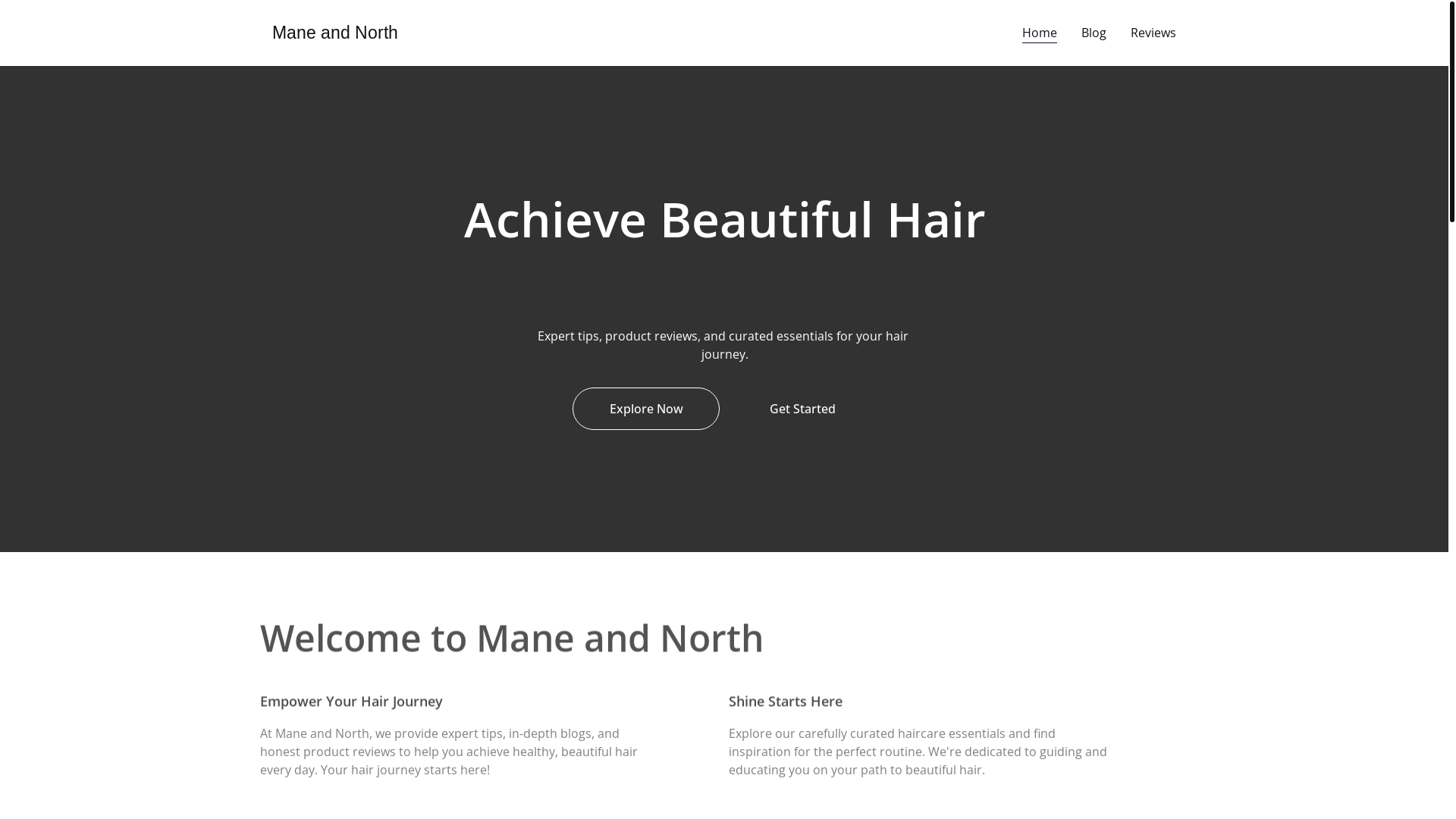 website screenshot of https://maneandnorth.com/