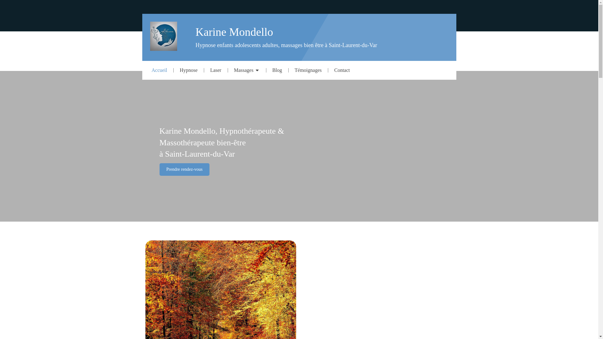 website screenshot of https://karine-mondello.fr/