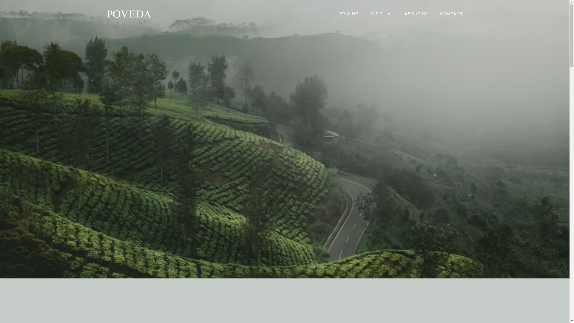 website screenshot of https://aquilacelestials.com/