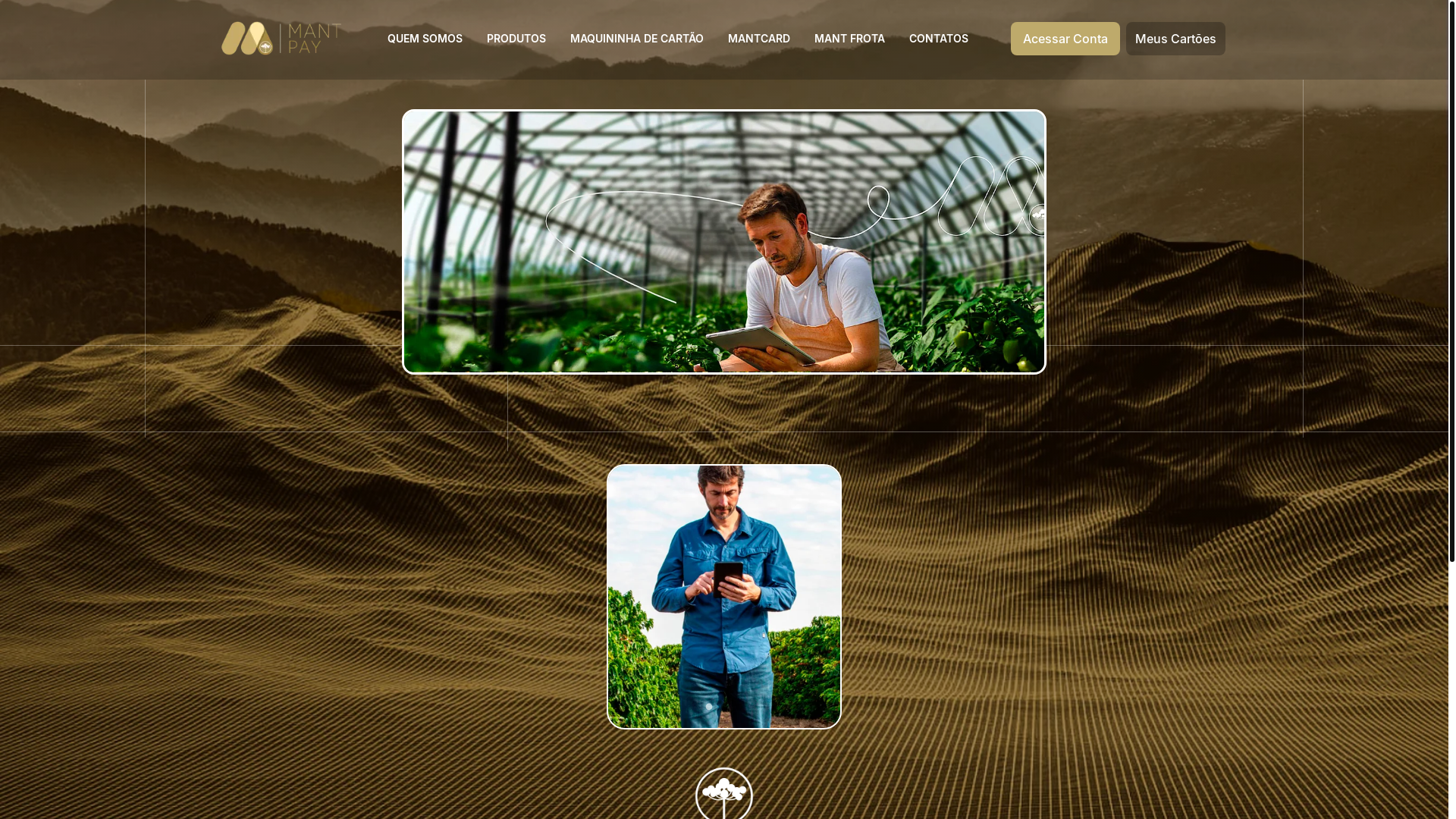 website screenshot of https://mantpay.com.br/