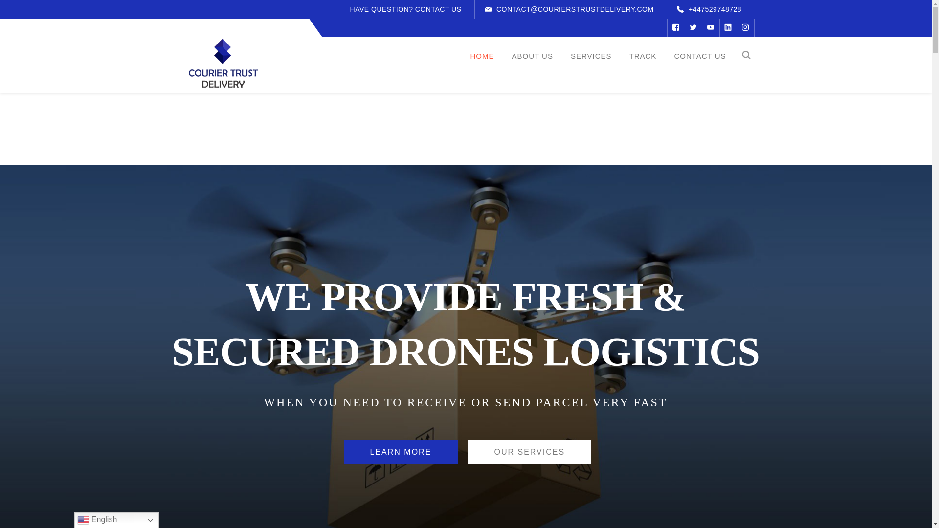 website screenshot of https://courierstrustdelivery.com/