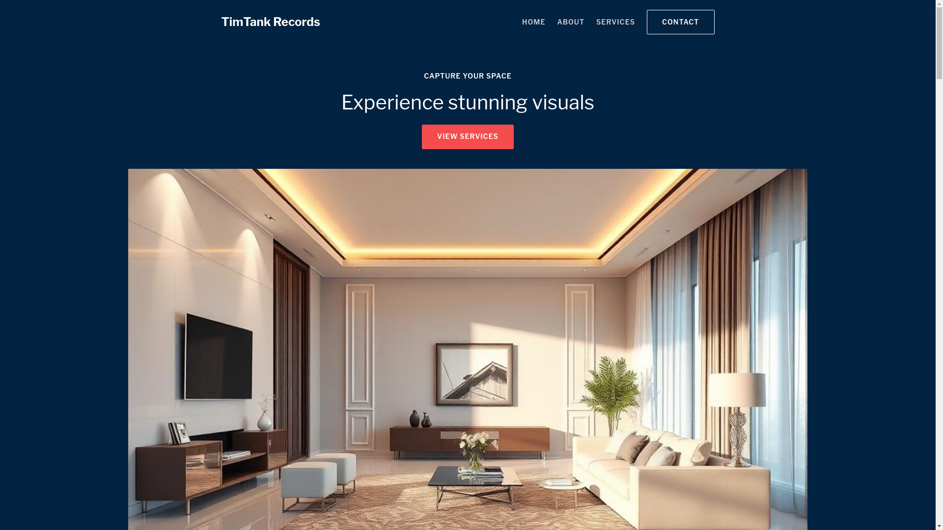 website screenshot of https://timtankrecord.org/