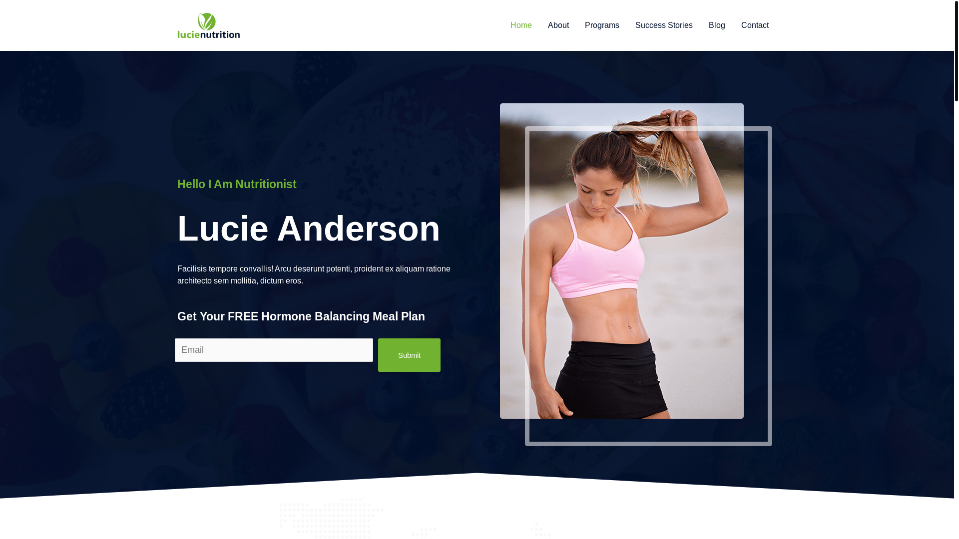 website screenshot of https://luvamalhadeaco.com.br/
