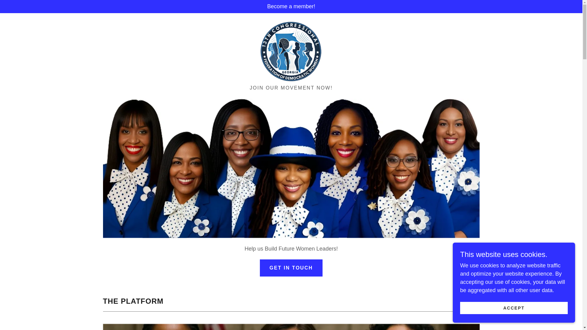 website screenshot of https://13thdemocraticwomen.org/